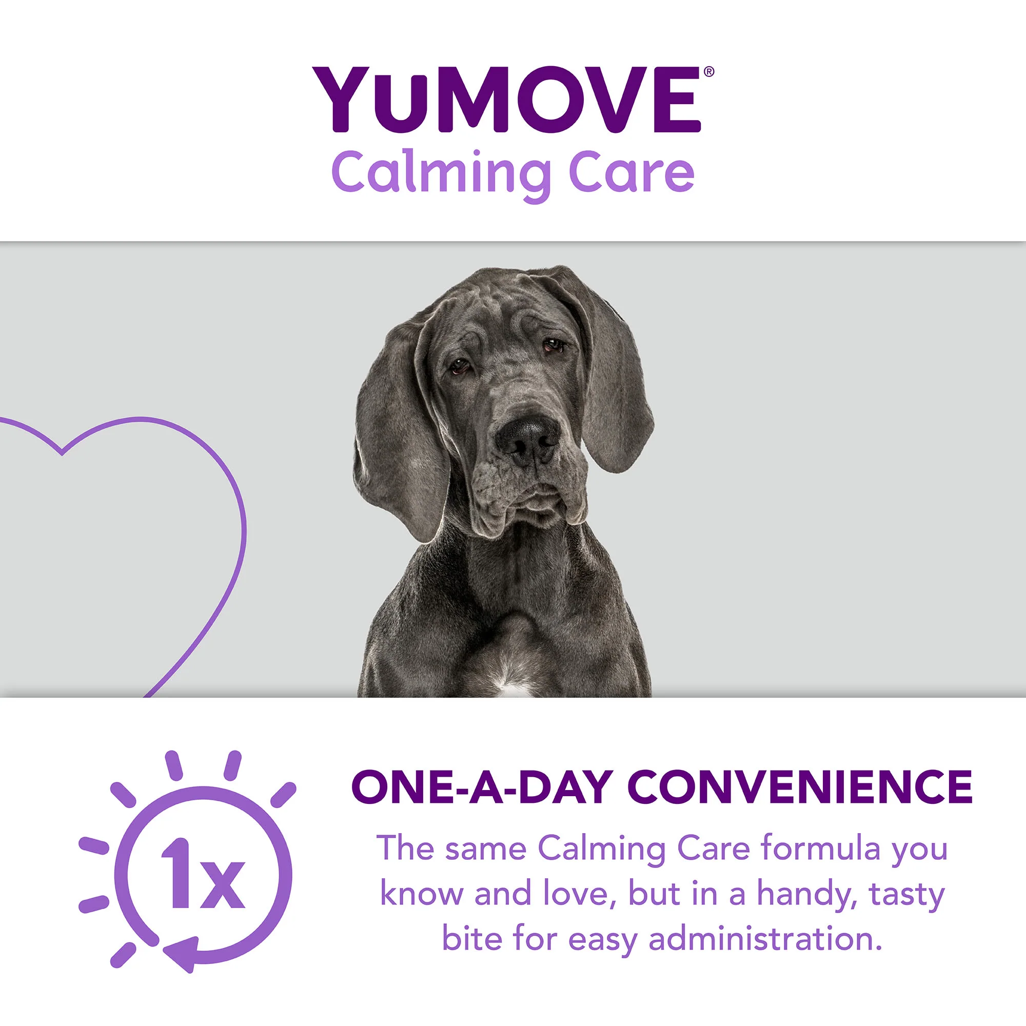 YuMOVE One-A-Day Calming Care Supplement for Large Dogs - Image 6