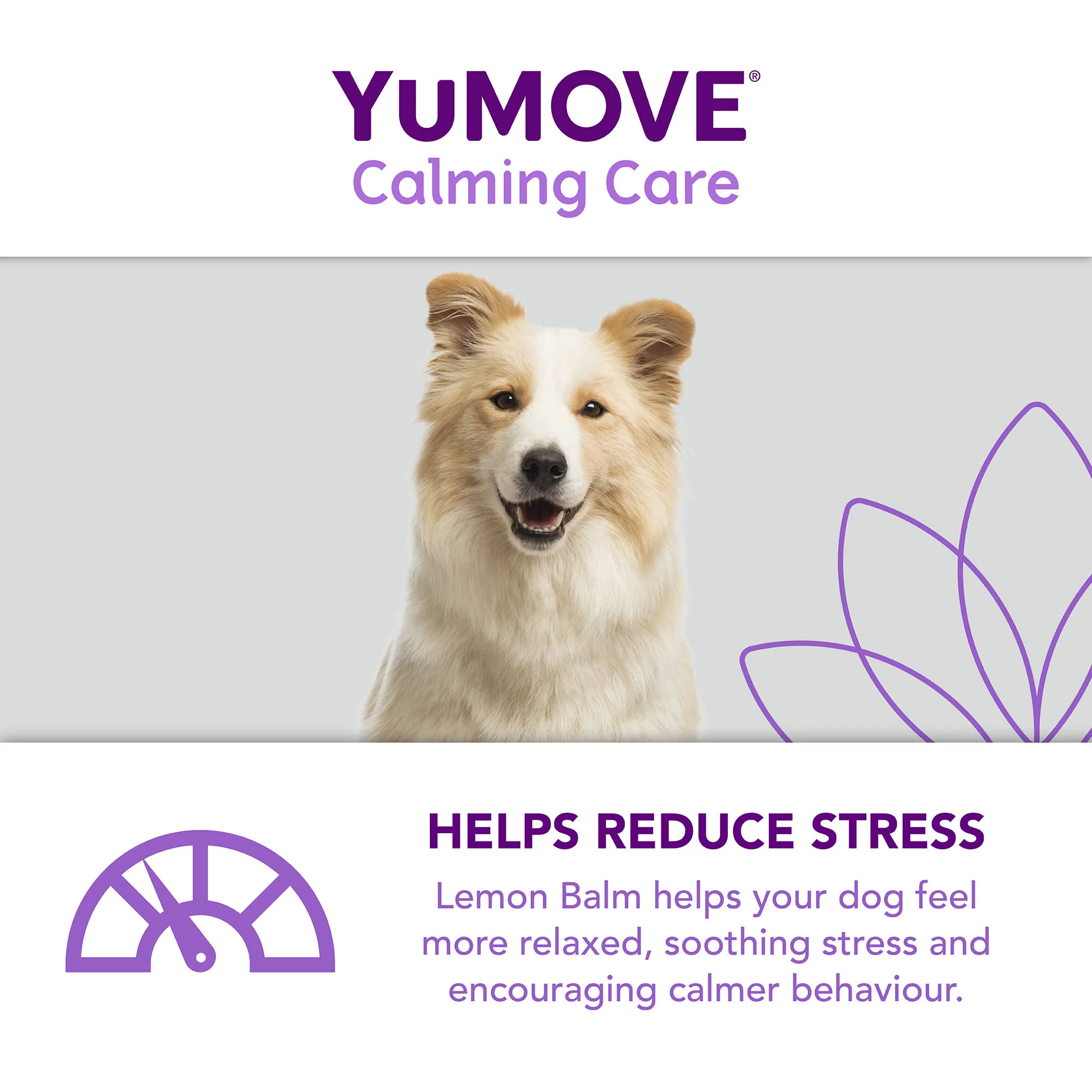 YuMOVE One-A-Day Calming Care Supplement for Large Dogs - Image 7