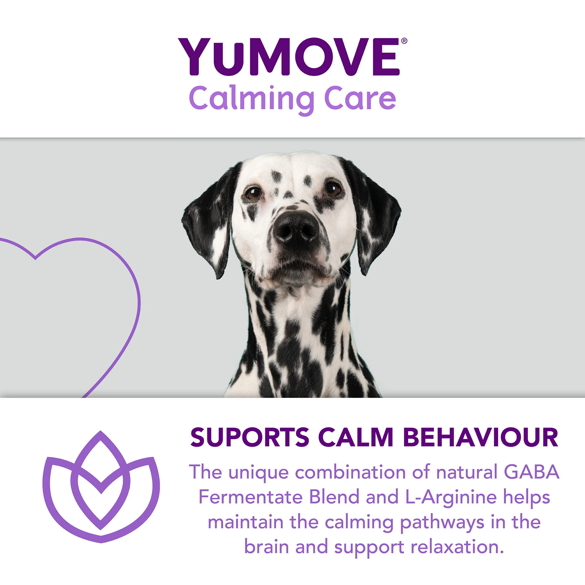 YuMOVE One-A-Day Calming Care Supplement for Large Dogs - Image 8