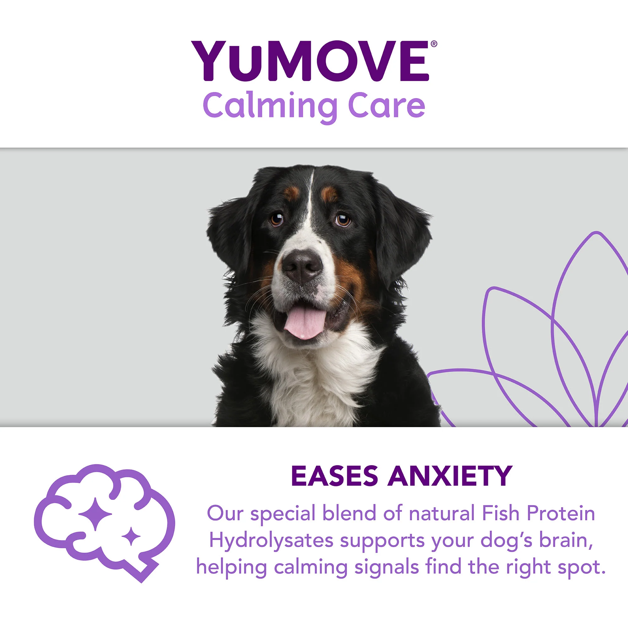 YuMOVE One-A-Day Calming Care Supplement for Large Dogs - Image 9