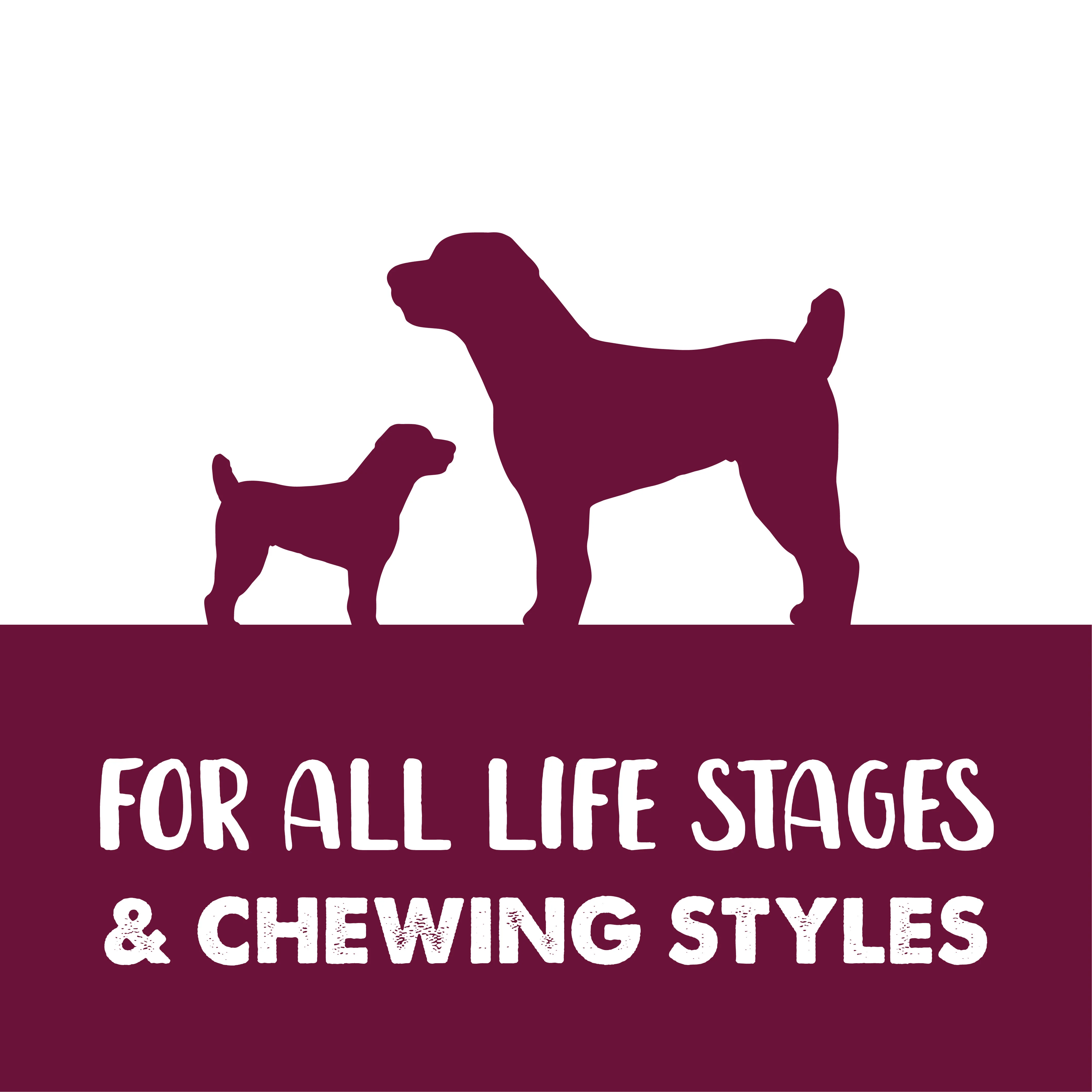 Zeus Better Bones Dog Treats - Duck & Cranberry Twist - Image 4