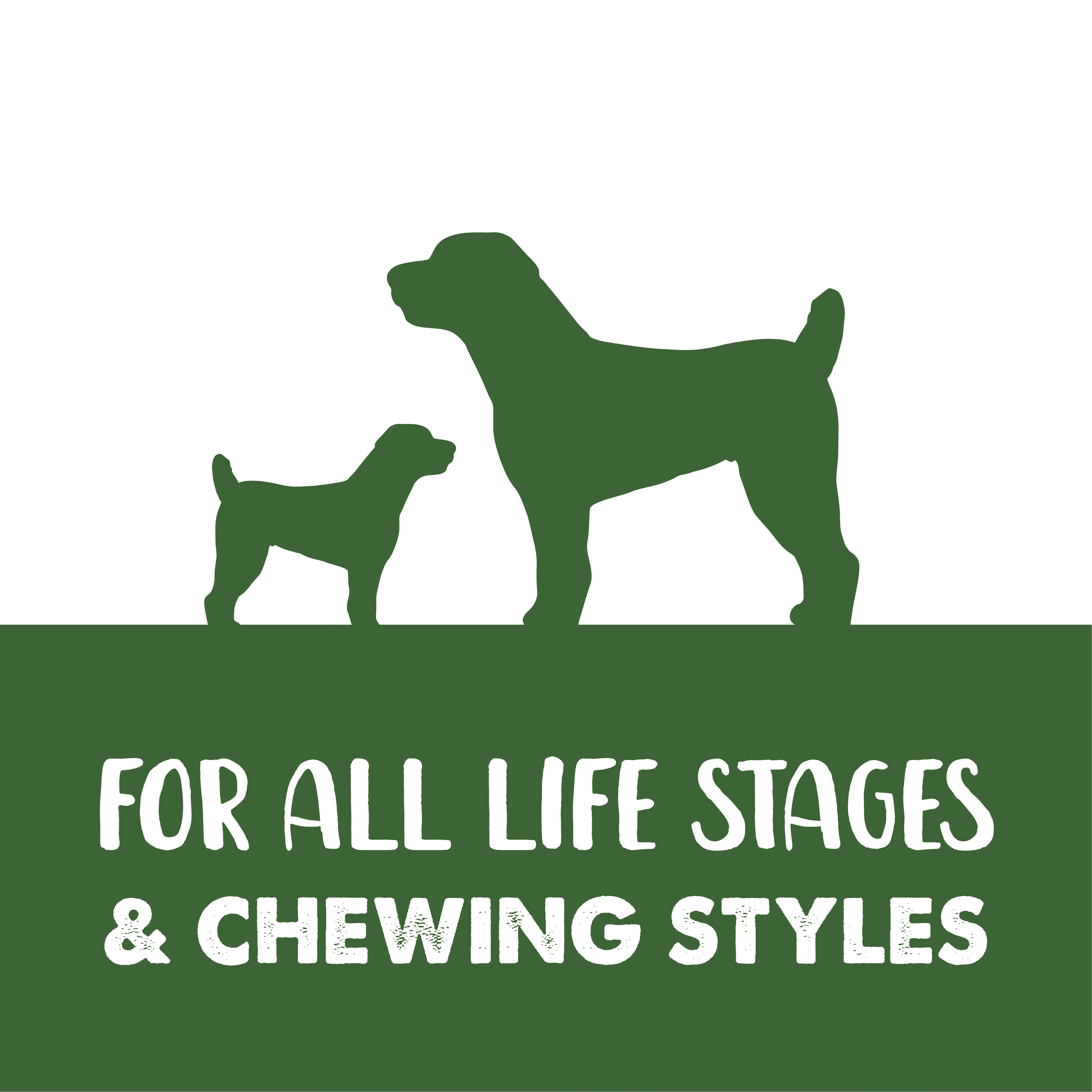 Zeus Better Bones Dog Treats - Lamb & Mint Wrap - Image 4