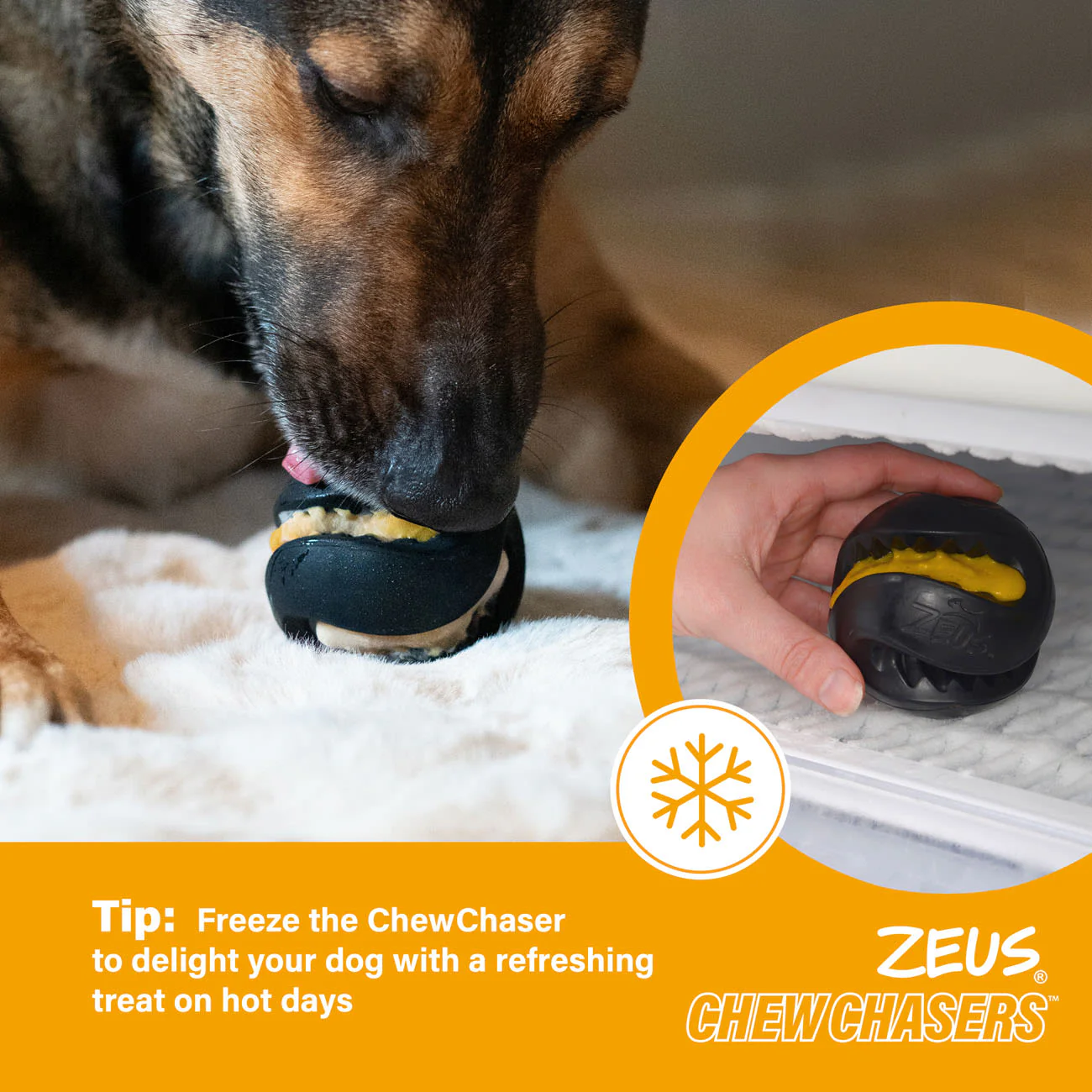 Zeus ChewChasers Treat Ball Dog Toy - Image 7