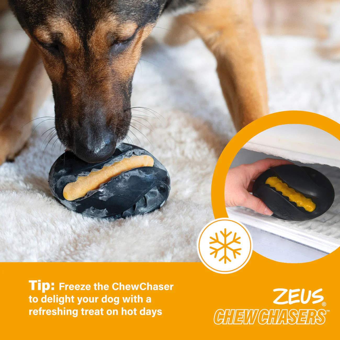 Zeus ChewChasers Treat Rugby Dog Toy - Image 5