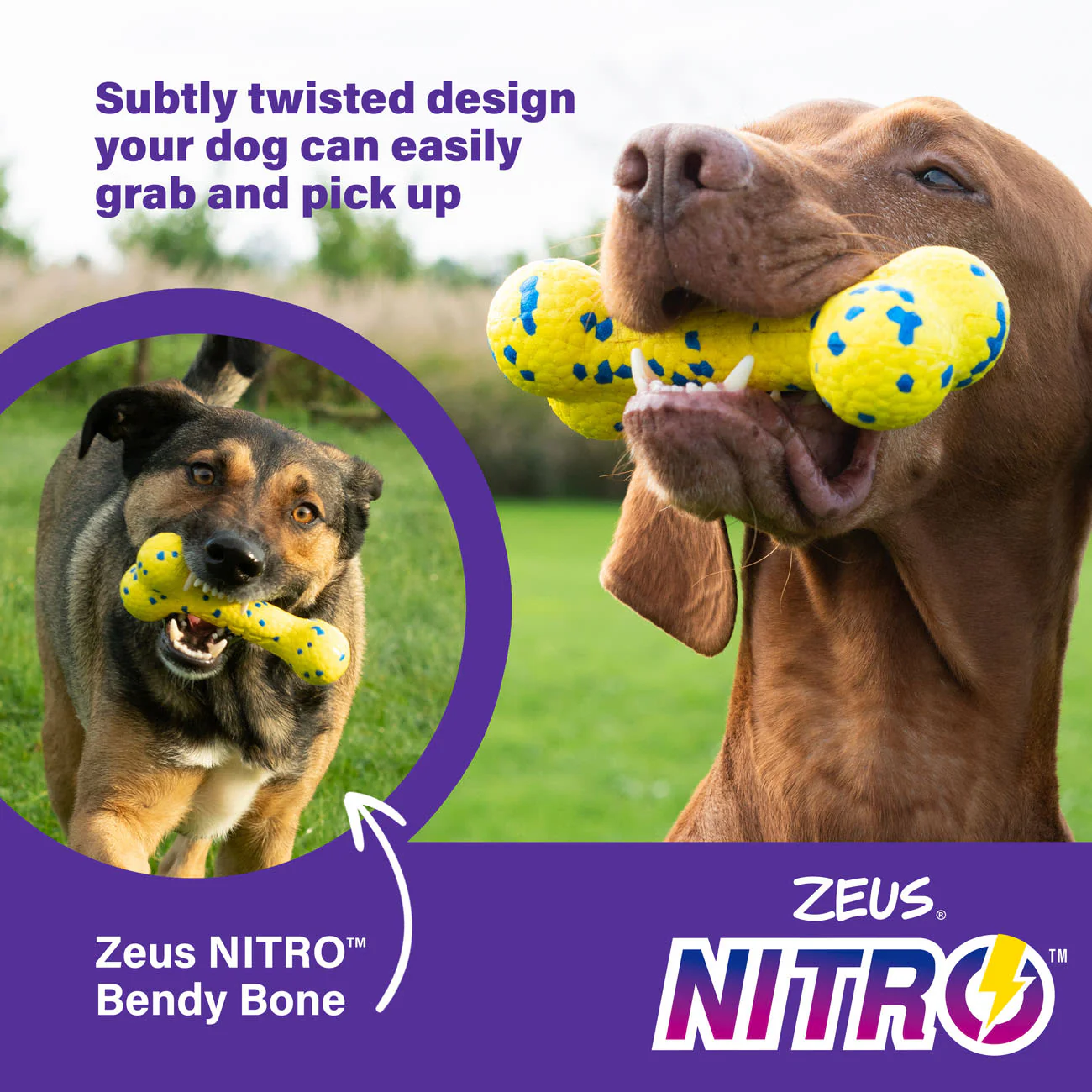Zeus Nitro Bendy Bone Dog Toy - Image 5