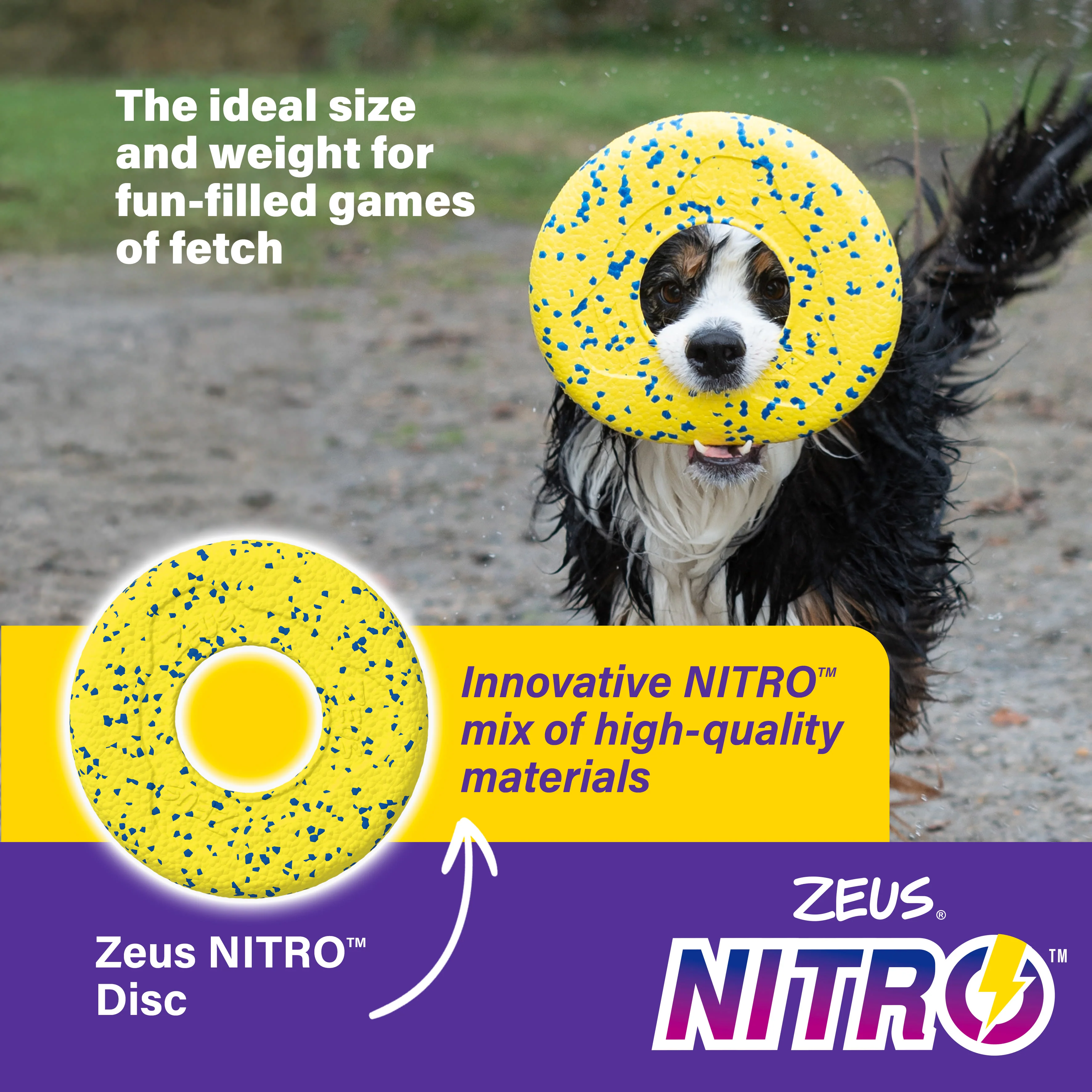 Zeus Nitro Flying Disc Dog Toy - Image 4