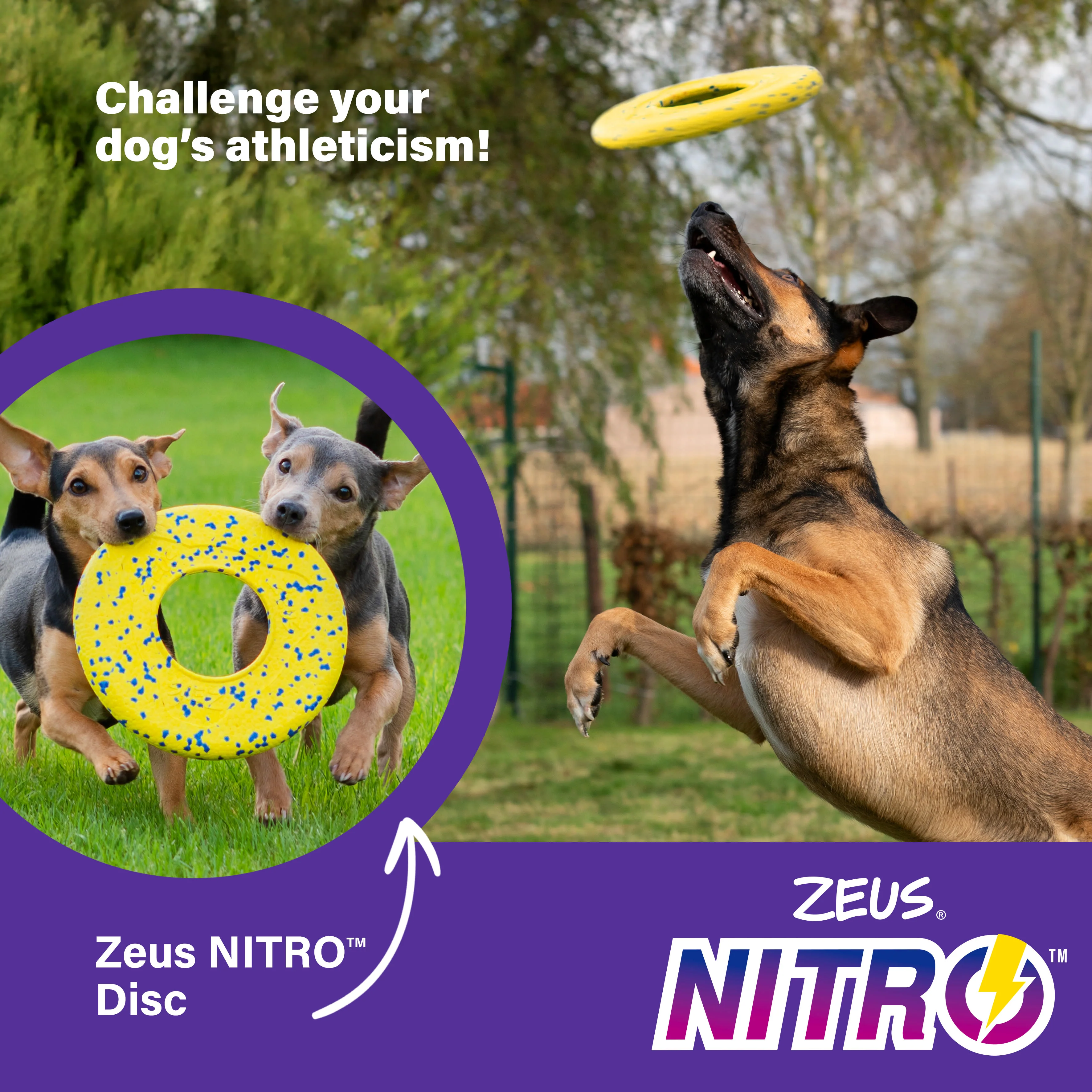 Zeus Nitro Flying Disc Dog Toy - Image 5