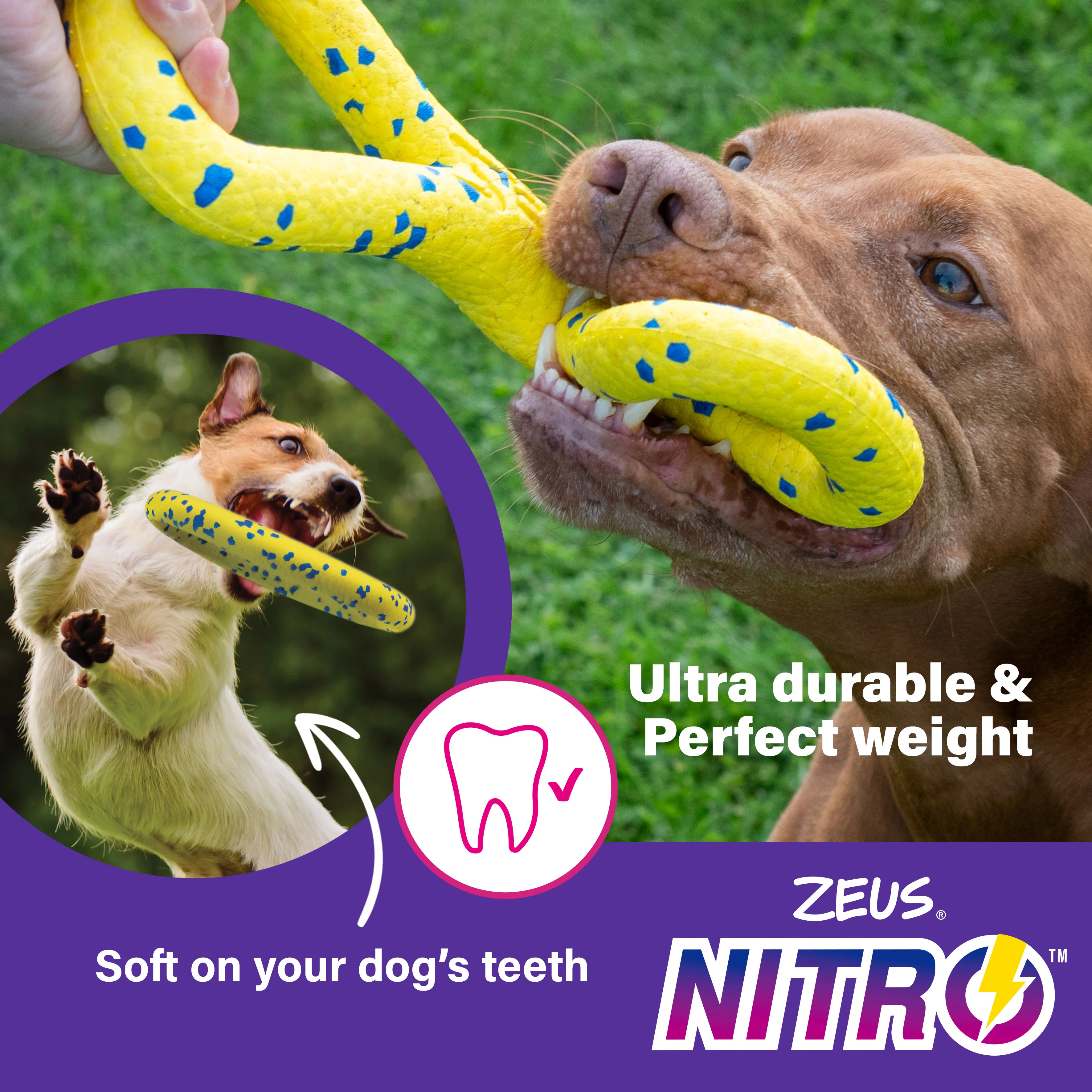 Zeus Nitro Flying Disc Dog Toy - Image 6