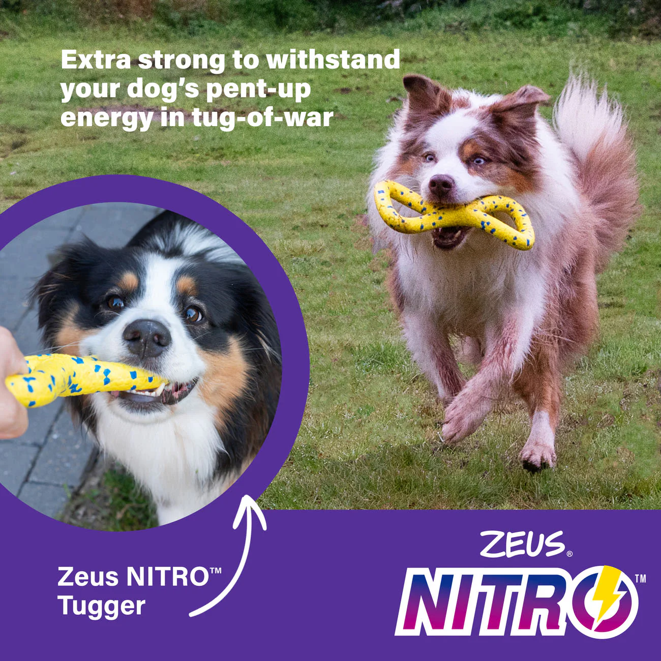 Zeus Nitro Tugger Dog Toy - Image 5