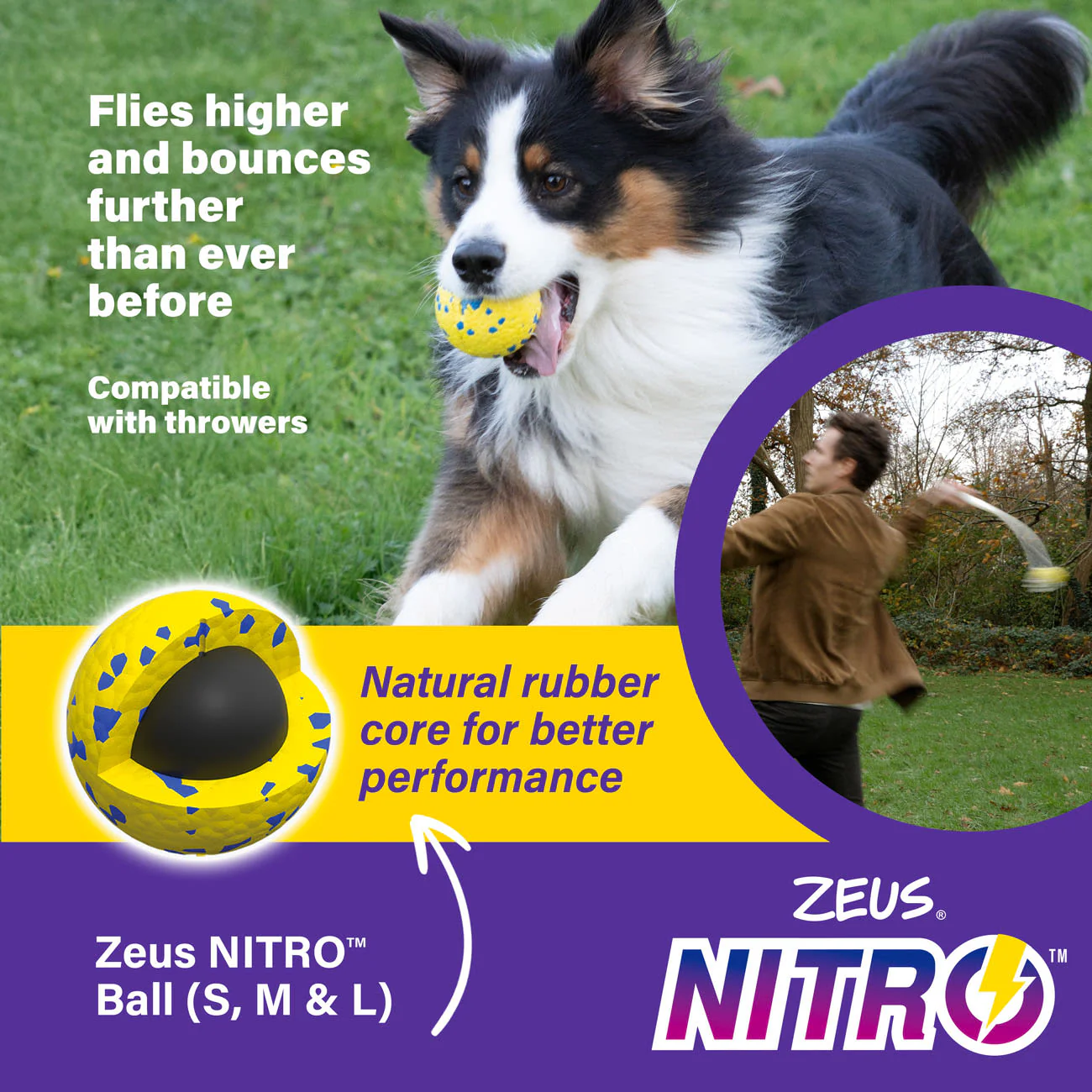 Zeus Nitro Weighted Ball Dog Toy - Image 8