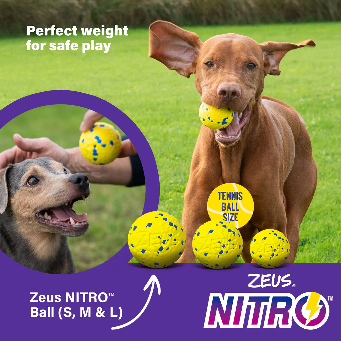 Zeus Nitro Weighted Ball Dog Toy - Image 9