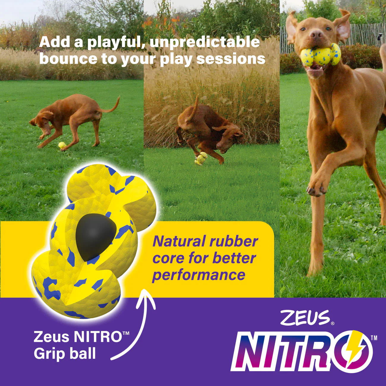 Zeus Nitro Weighted Grip Ball Dog Toy - Image 4