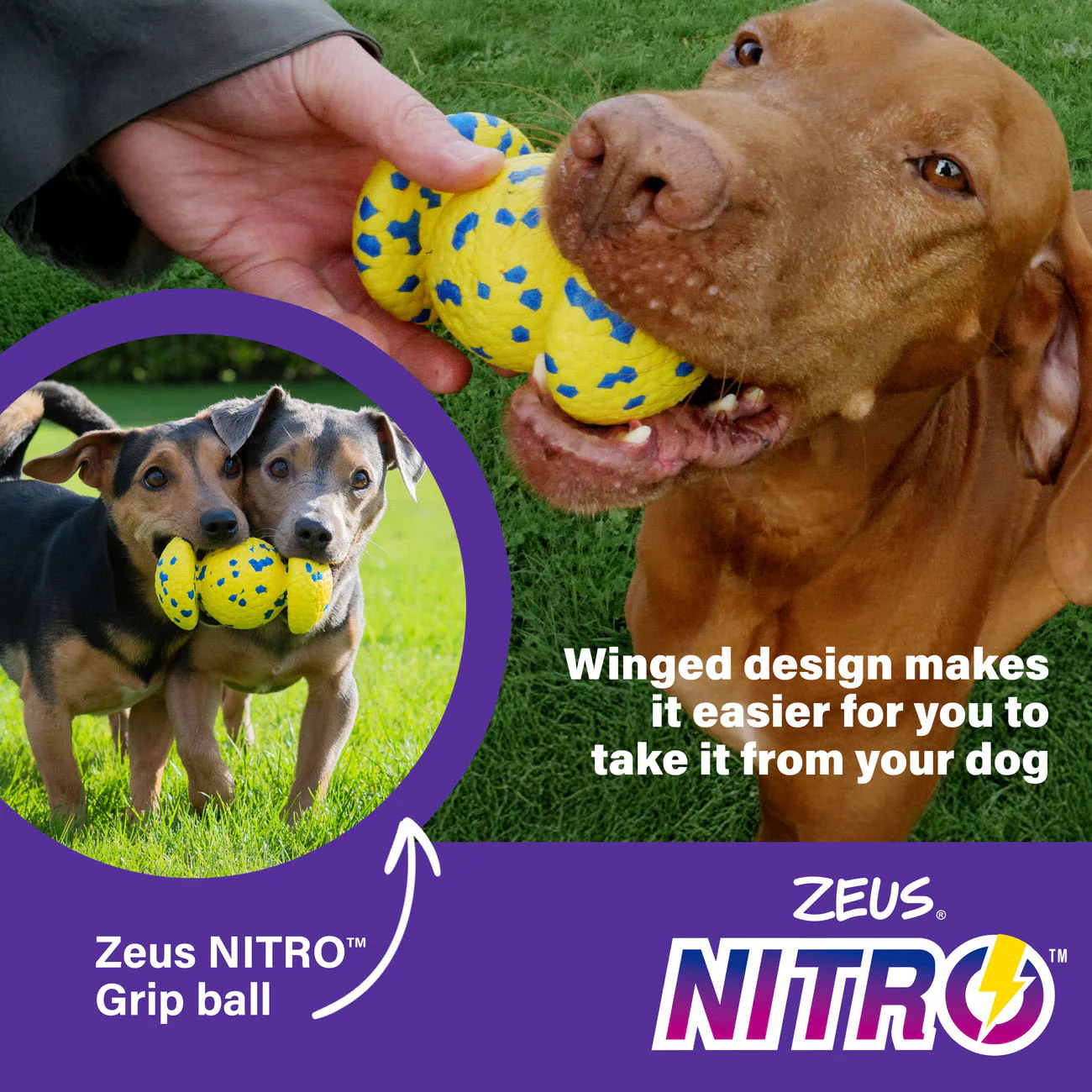Zeus Nitro Weighted Grip Ball Dog Toy - Image 5