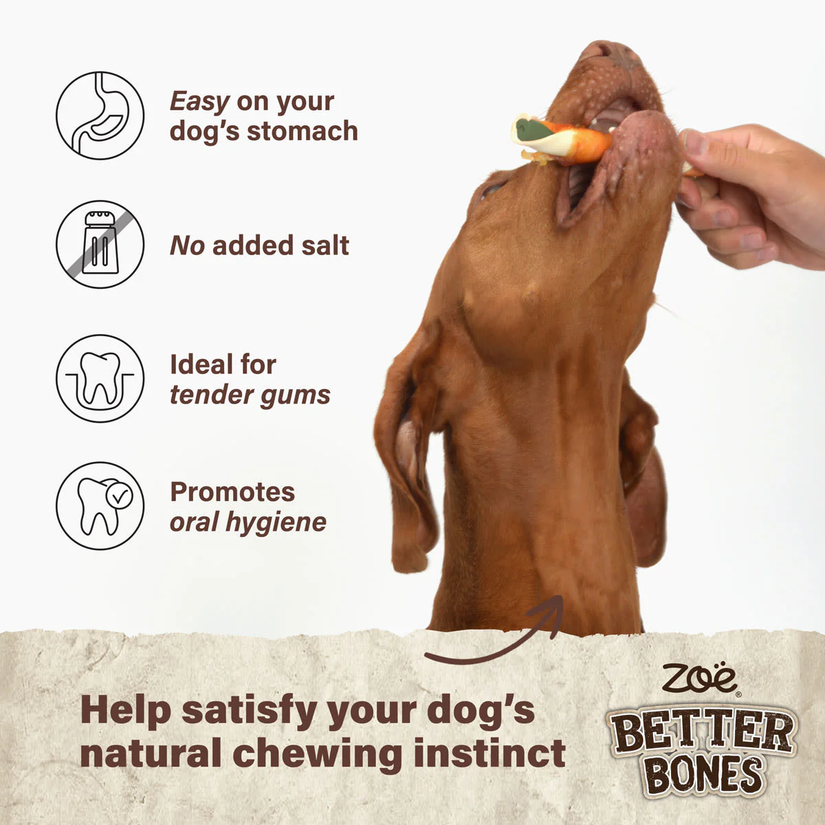 Zoe Better Bones Lamb Mint Wrap Large Rolls for Dogs - Image 3