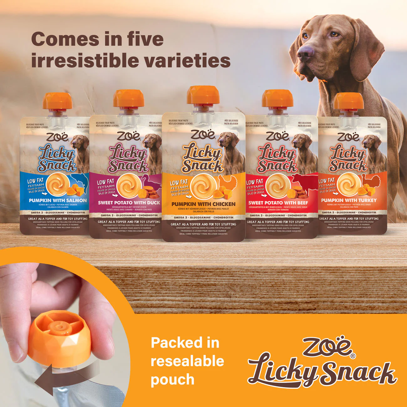 Zoe Licky Snack Pumpkin & Turkey Recipe Dog Treat - Image 7
