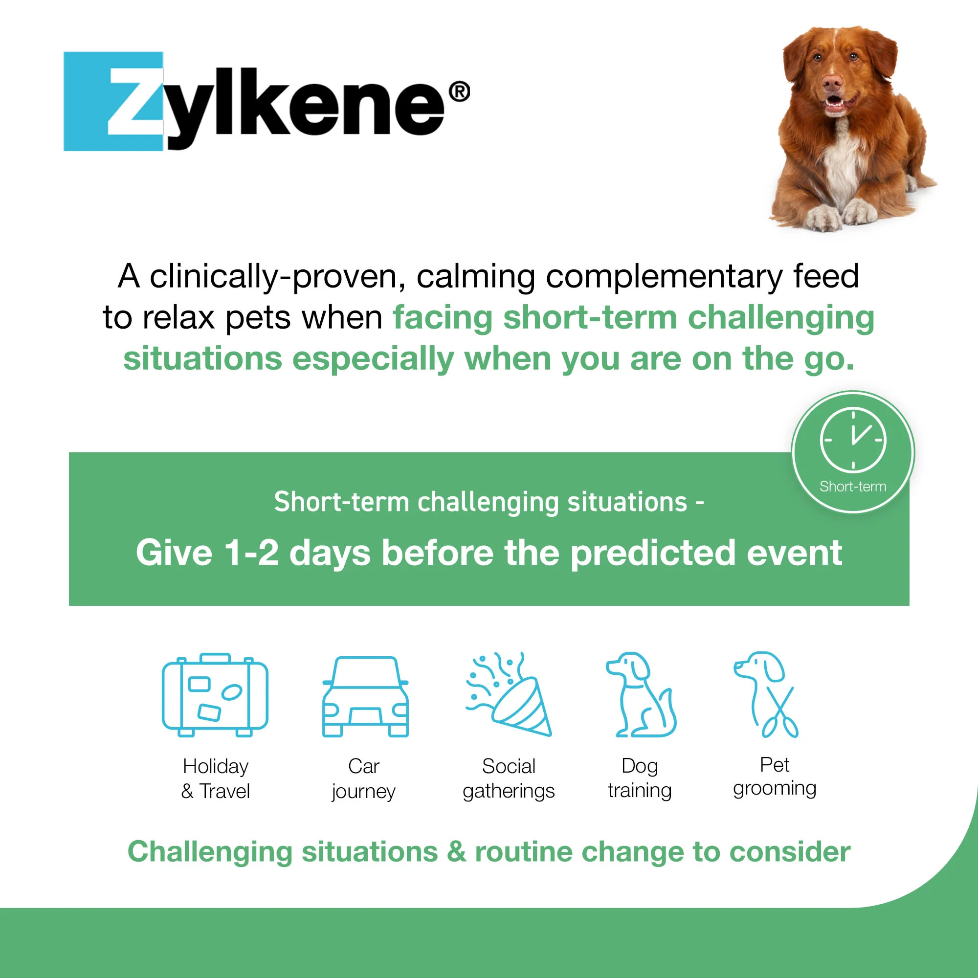 Zylkene 225mg Calming Dog Chews - 14 Chews - Image 4