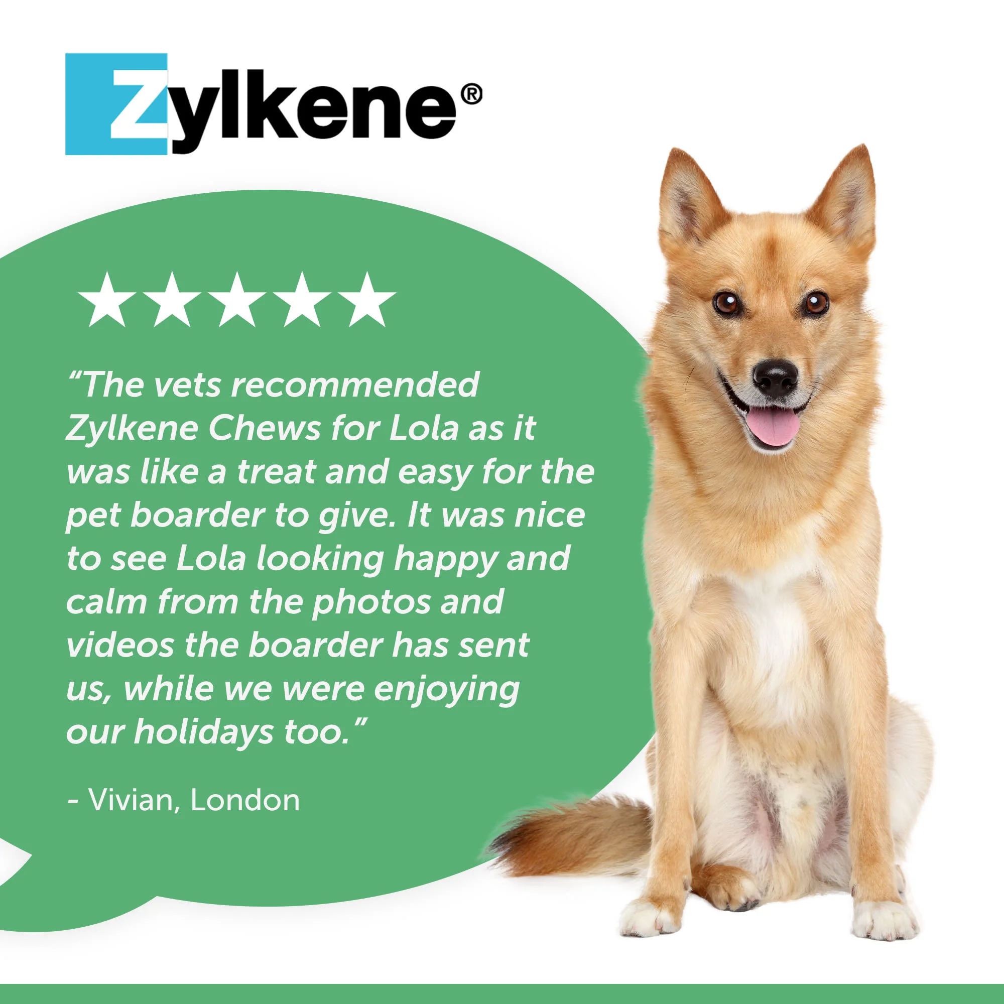 Zylkene 225mg Calming Dog Chews - 14 Chews - Image 7