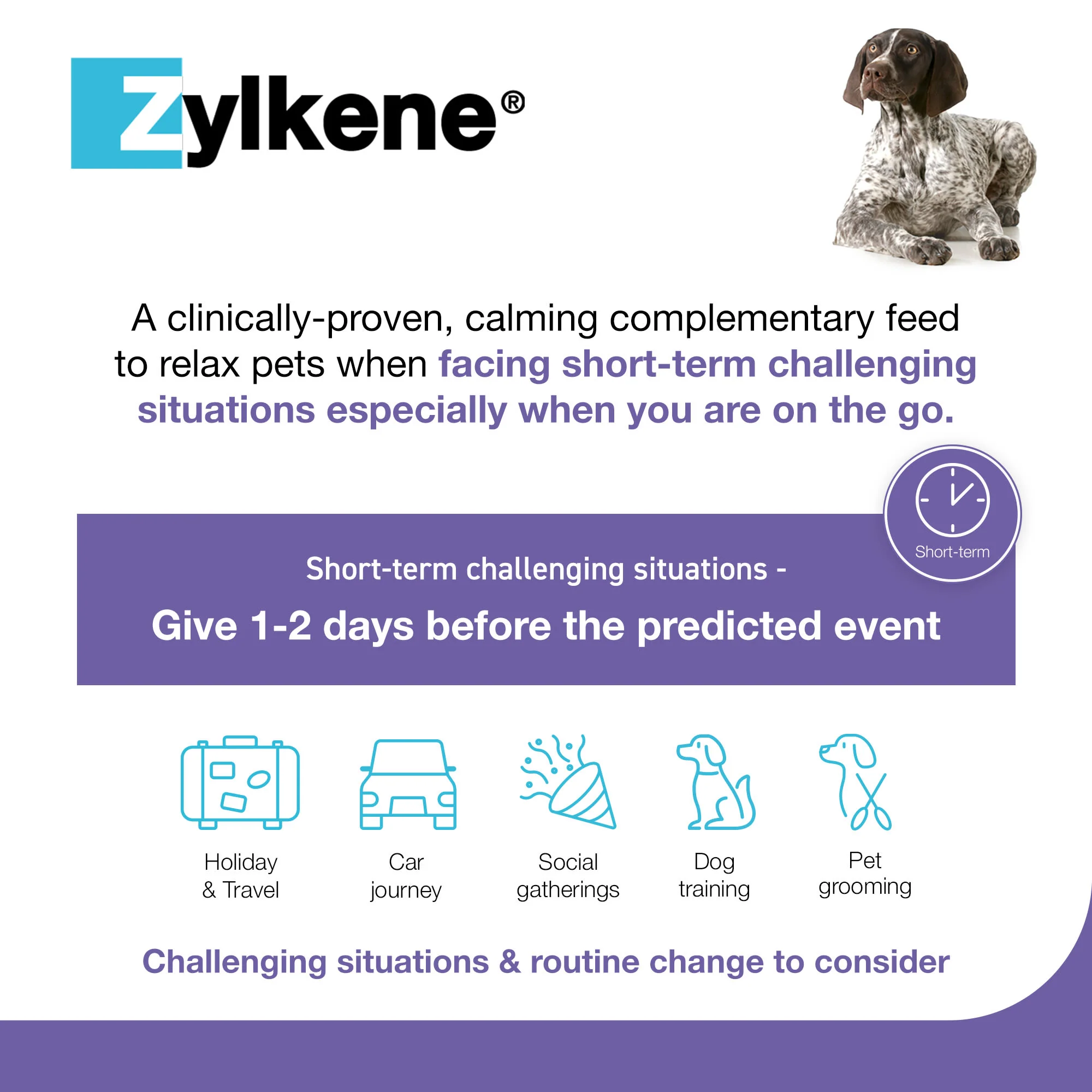 Zylkene 450mg Calming Dog Chews - 14 Chews Large 15Kg - 60Kg - Image 4