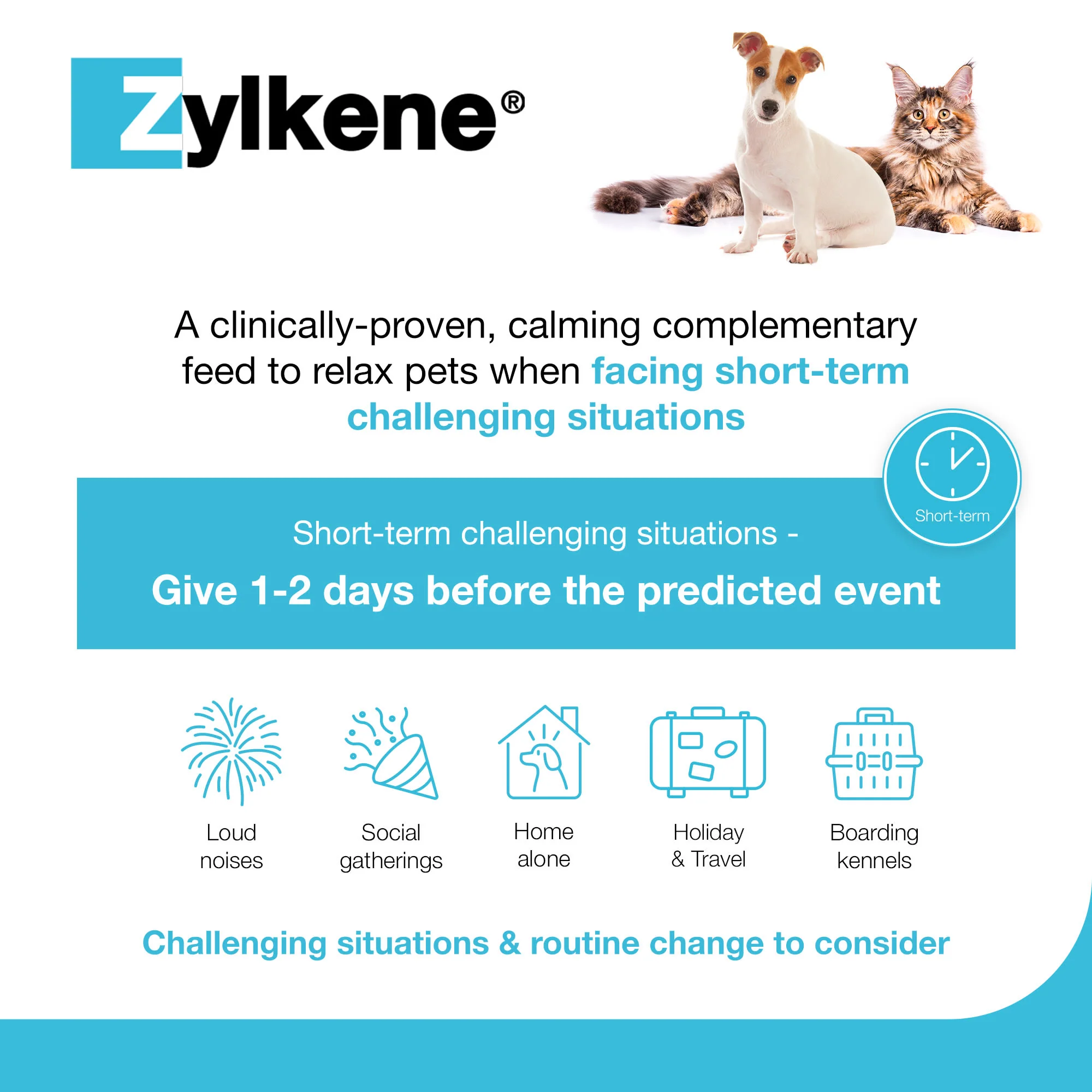 Zylkene Calming Supplement for Cats and Dogs - Up to 10kg - 20 Capsules - Image 4