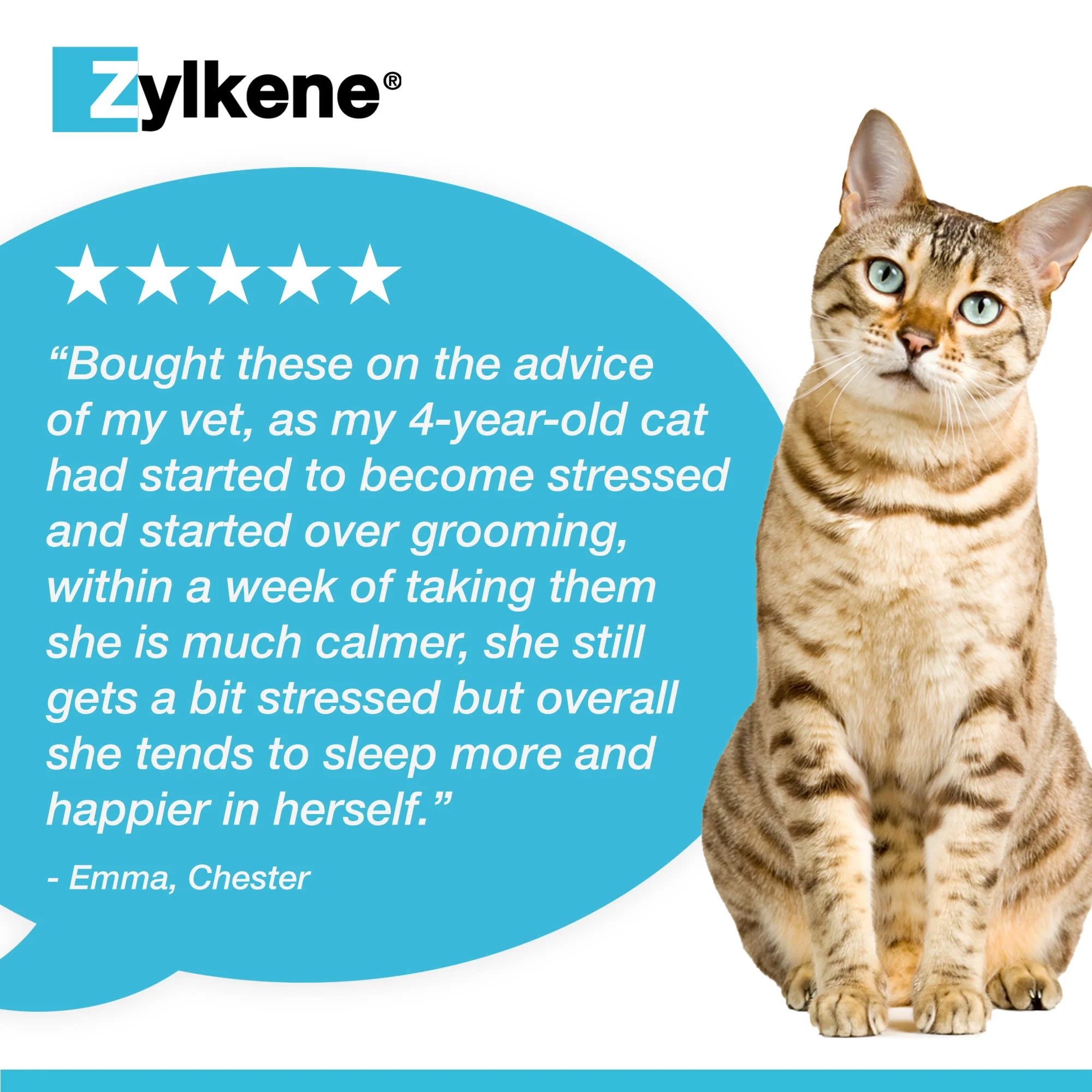 Zylkene Calming Supplement for Cats and Dogs - Up to 10kg - 20 Capsules - Image 7