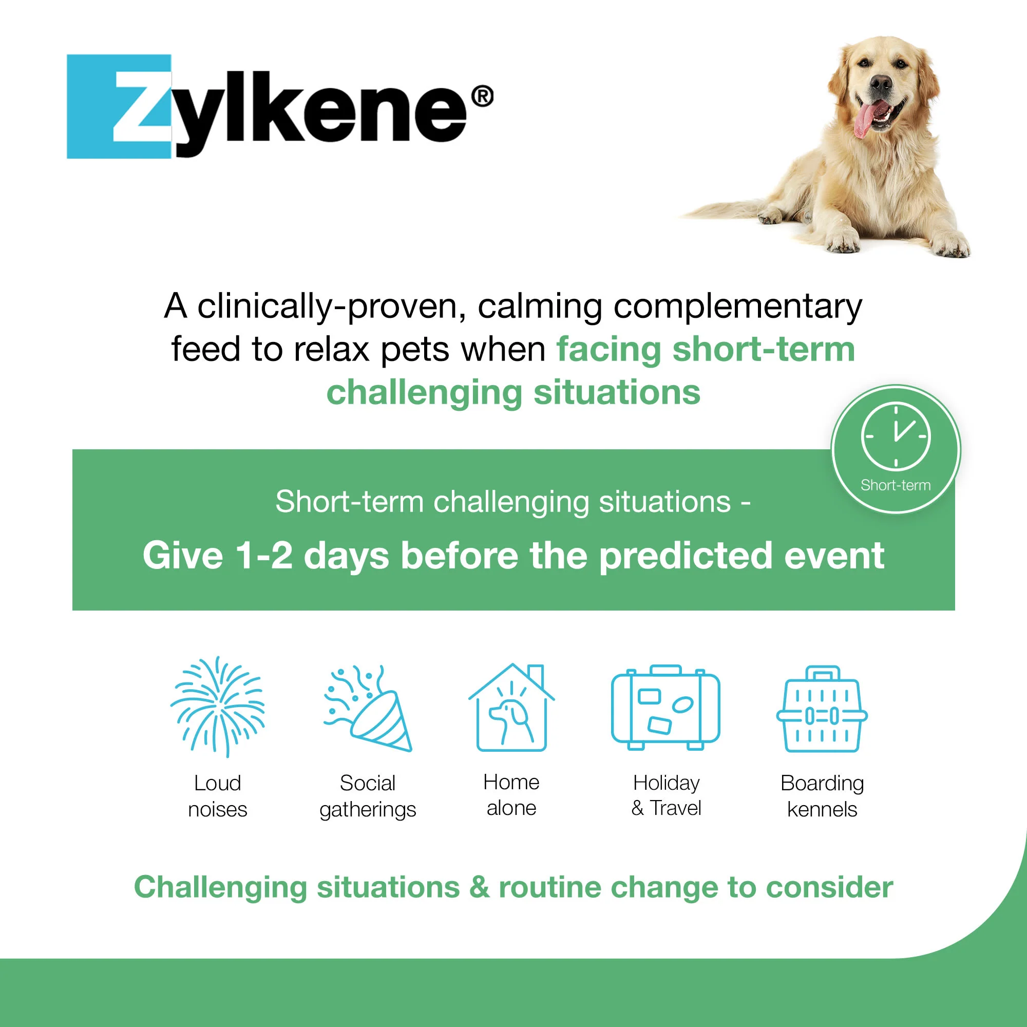 Zylkene Calming Supplement for Dogs - 10-30kg - 20 Capsules - Image 4