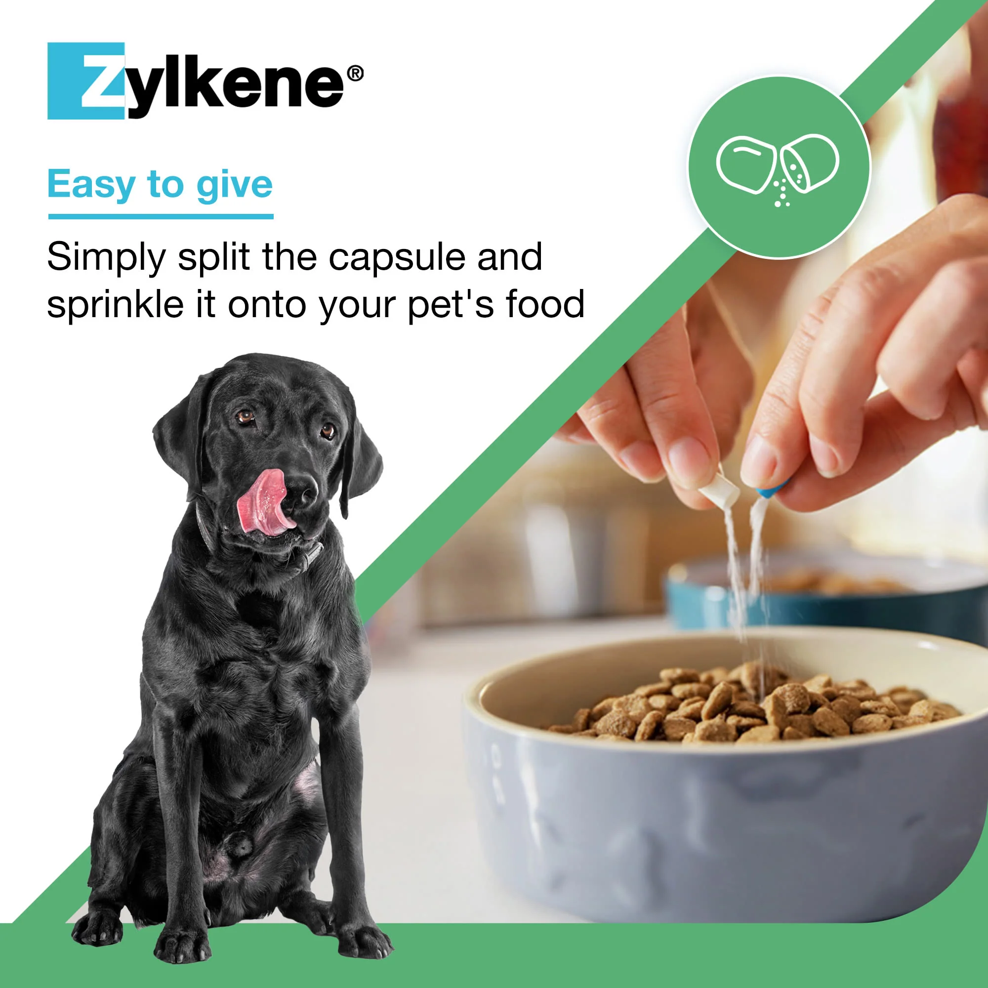 Zylkene Calming Supplement for Dogs - 10-30kg - 20 Capsules - Image 6