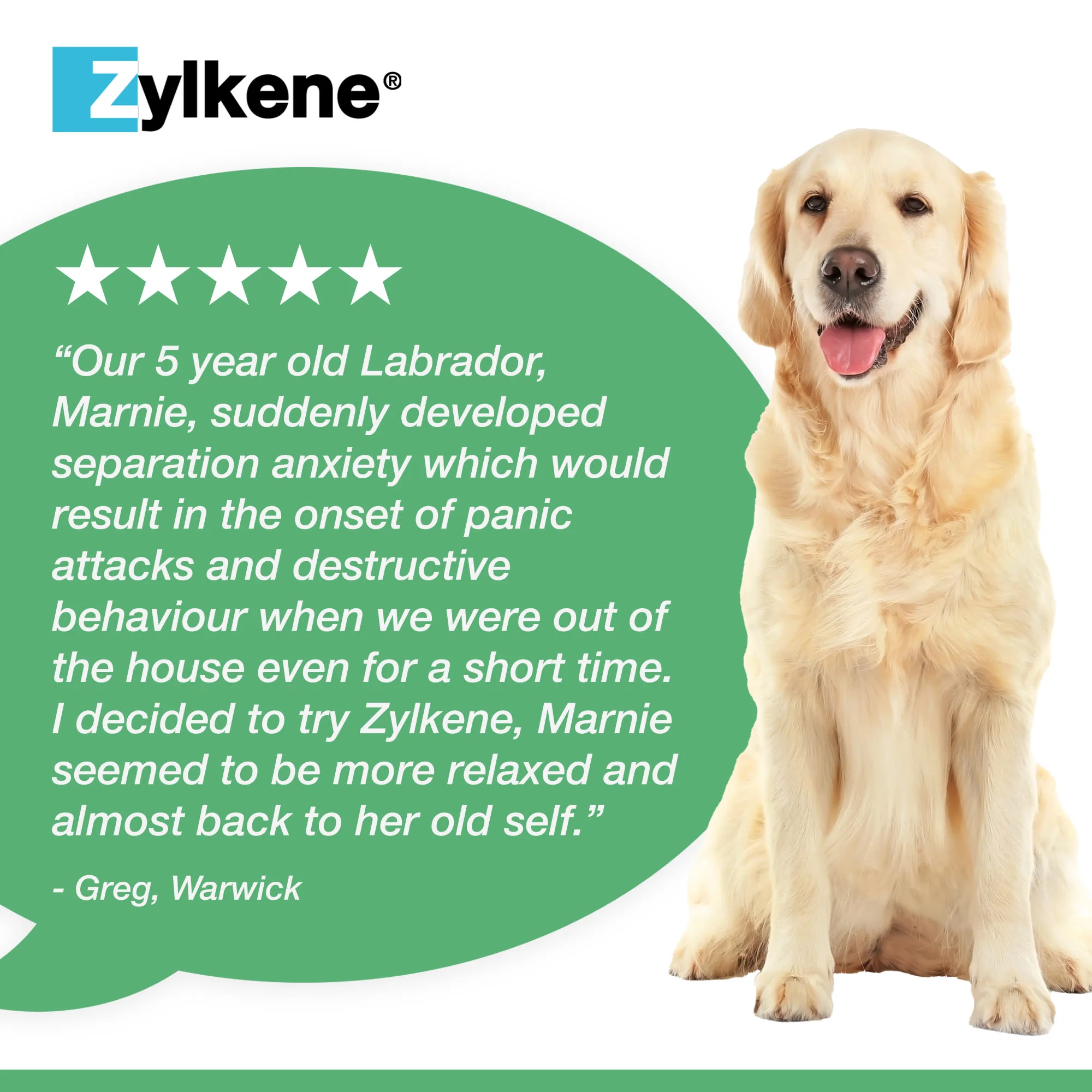 Zylkene Calming Supplement for Dogs - 10-30kg - 20 Capsules - Image 7