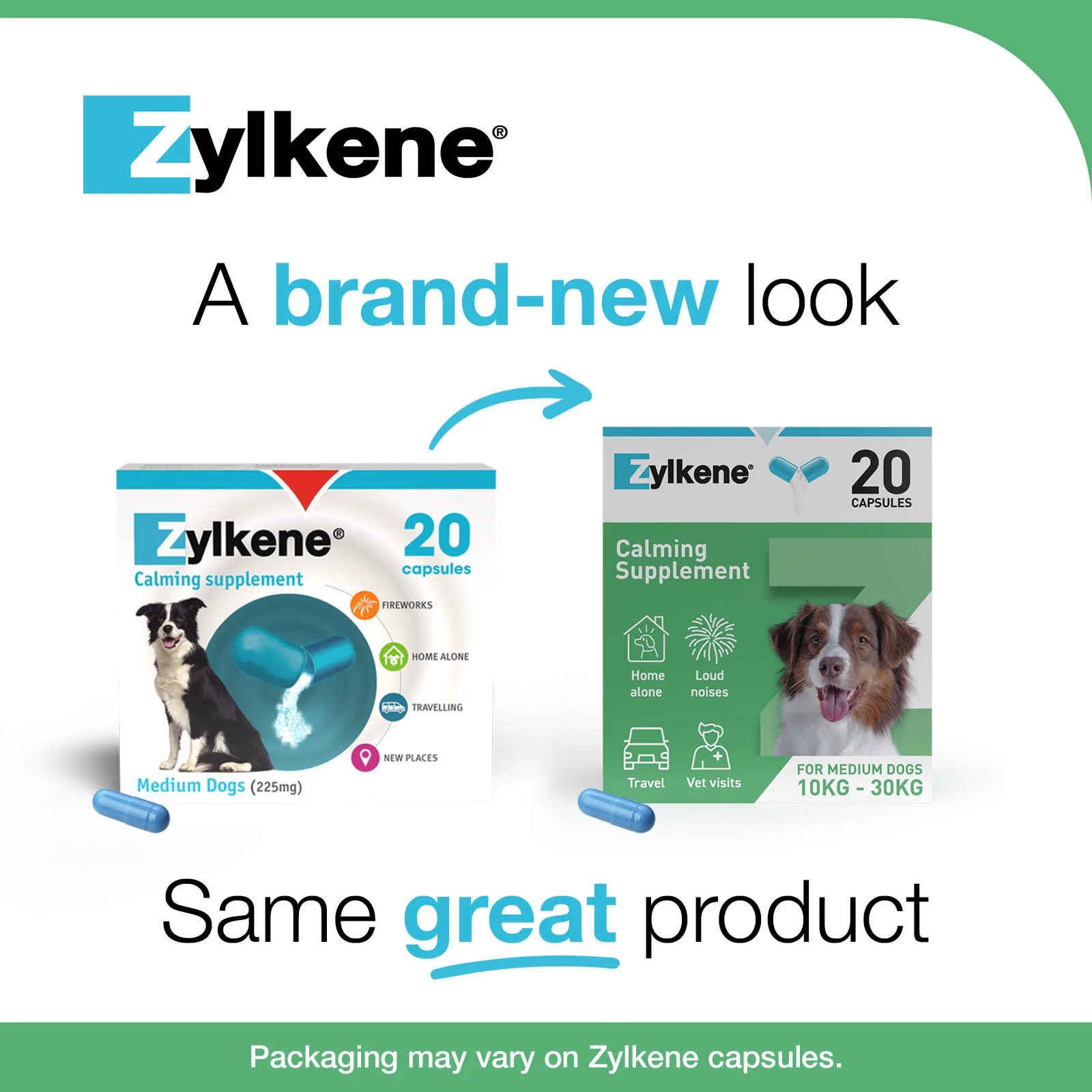 Zylkene Calming Supplement for Dogs - 10-30kg - 20 Capsules - Image 8