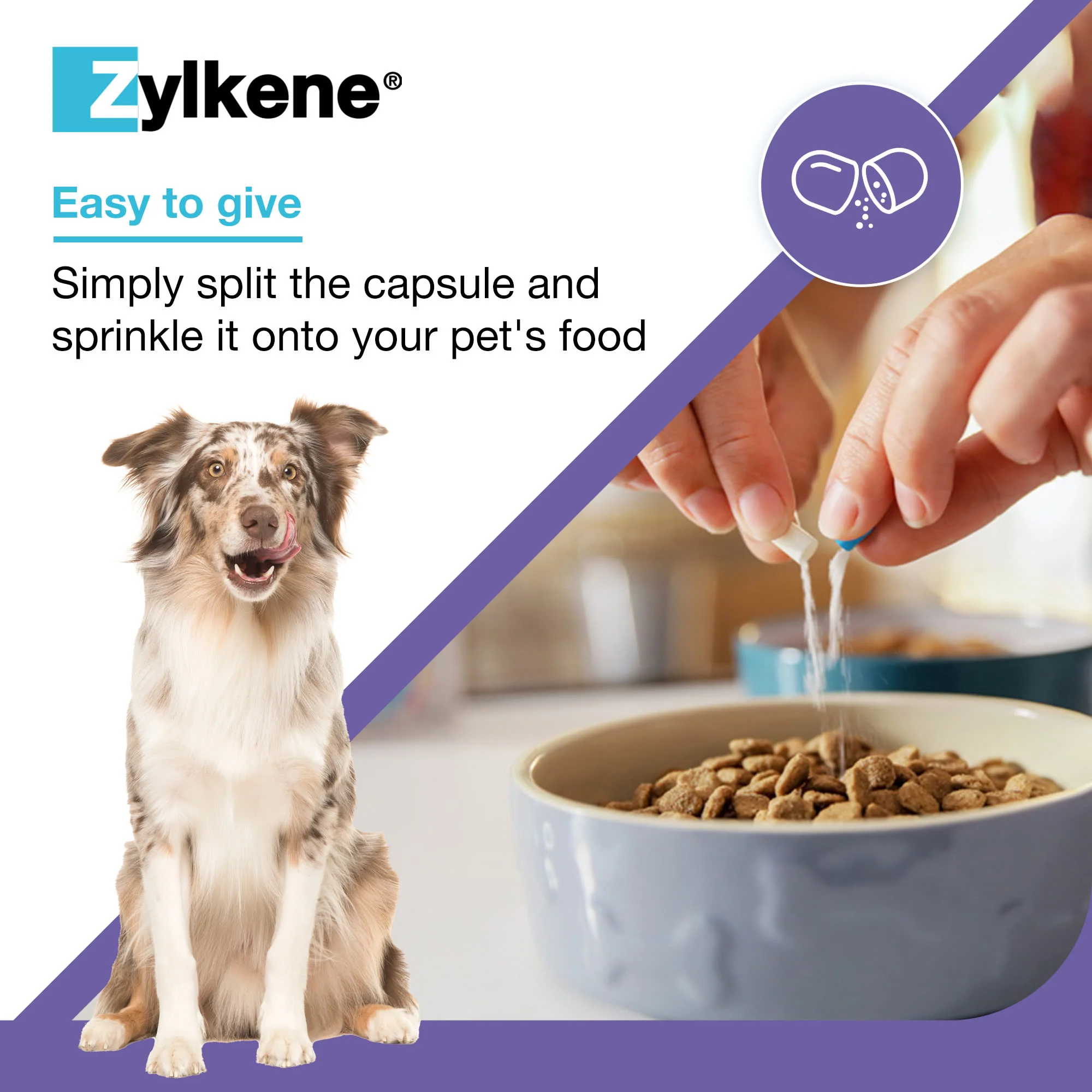 Zylkene Calming Supplement for Dogs - 30-60kg - 20 Capsules - Image 6