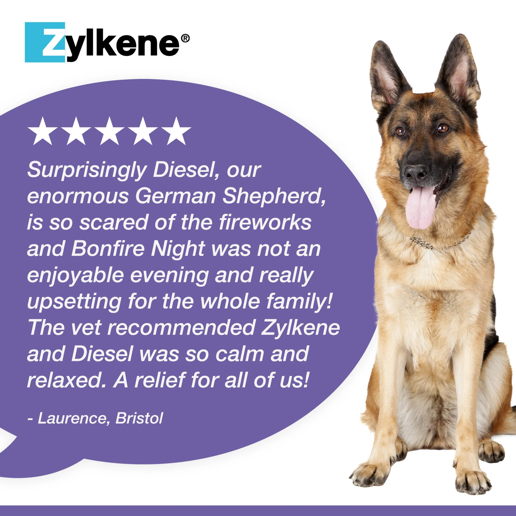 Zylkene Calming Supplement for Dogs - 30-60kg - 20 Capsules - Image 7