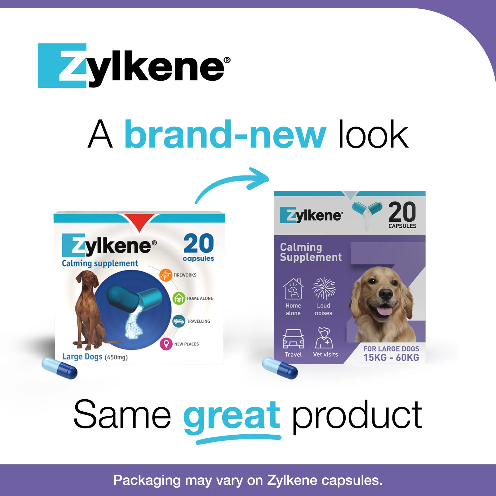 Zylkene Calming Supplement for Dogs - 30-60kg - 20 Capsules - Image 8