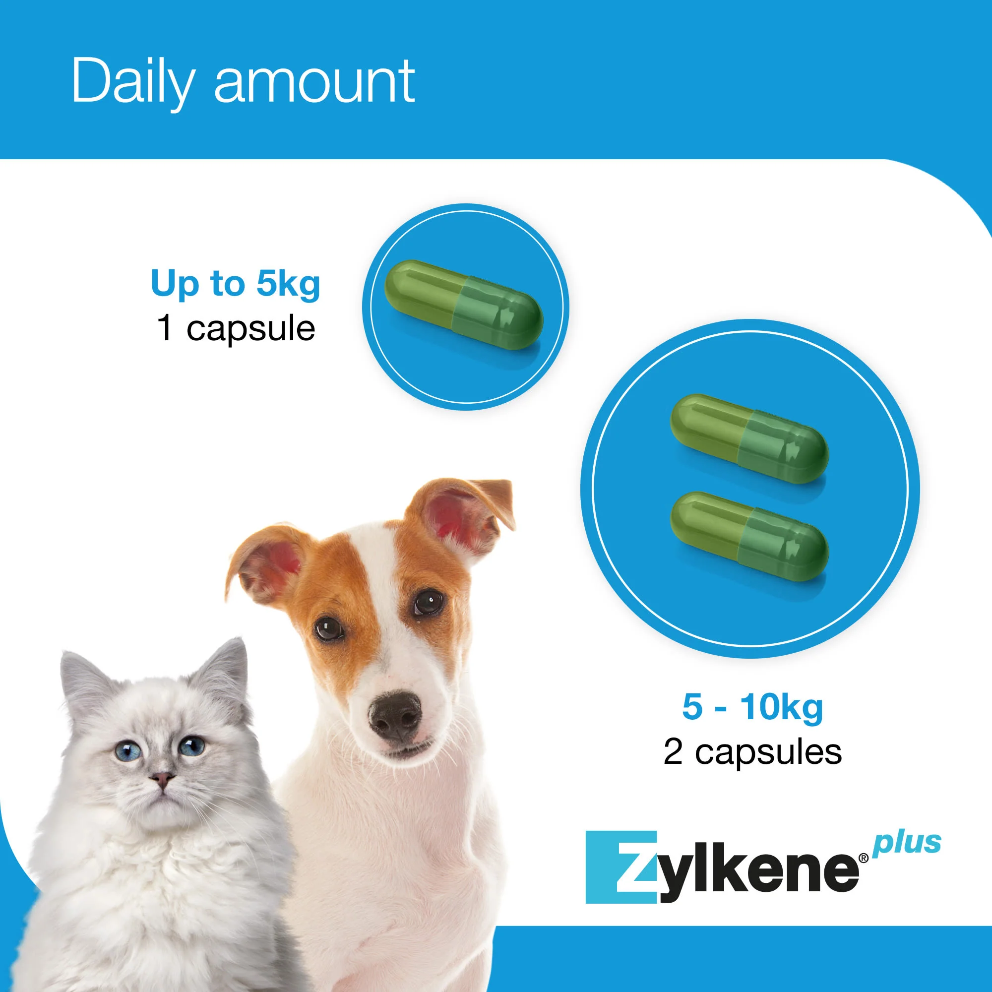 Zylkene Plus Calming Supplement for Cats and Dogs - 30 Pack - Image 11