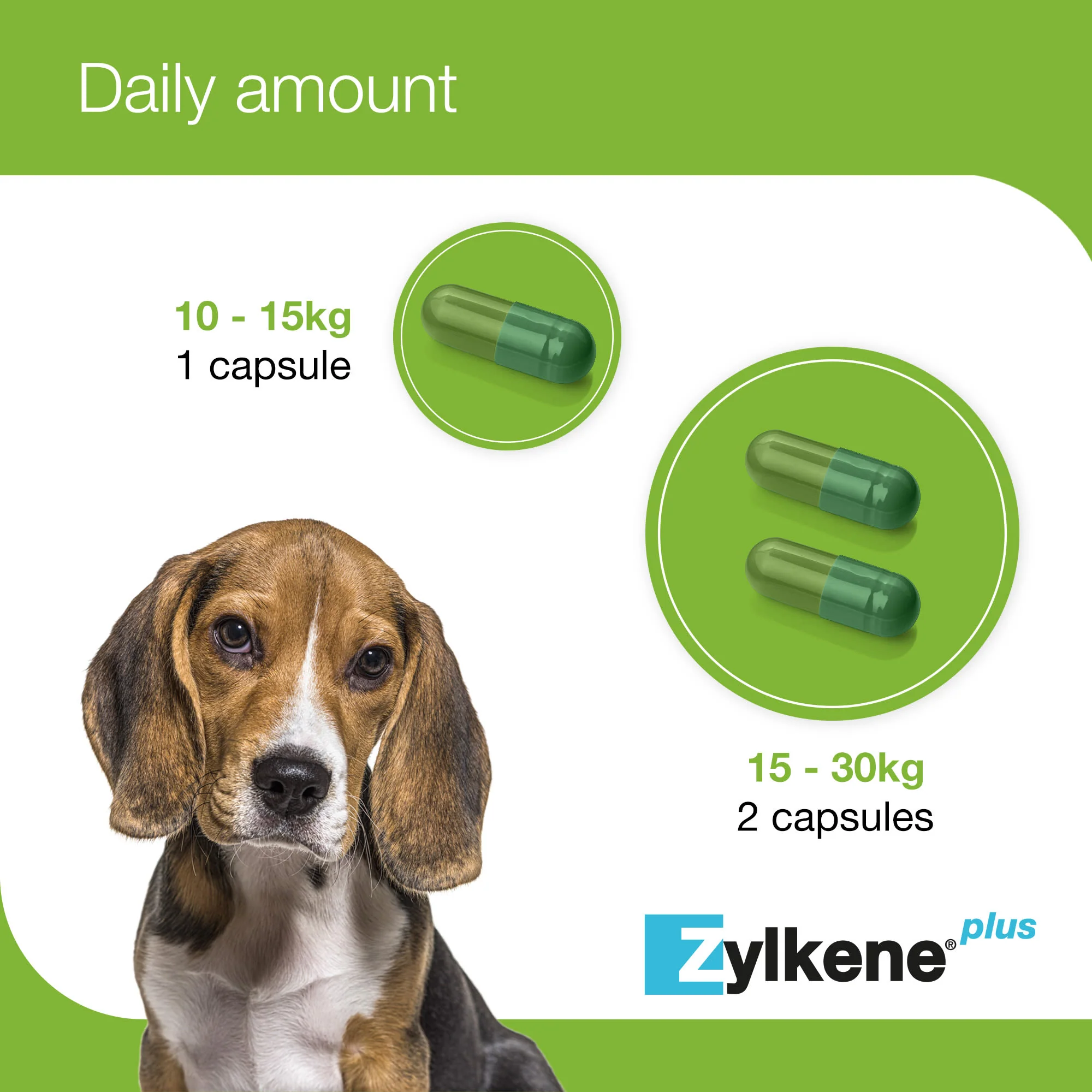Zylkene Plus Calming Supplement for Cats and Dogs - 30 Pack - Image 12