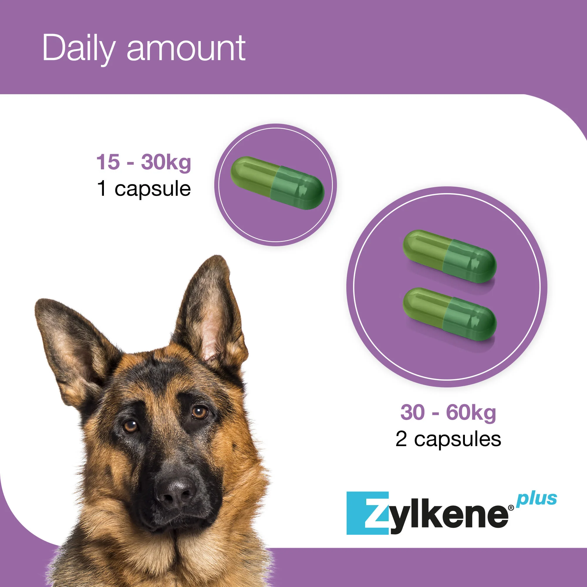Zylkene Plus Calming Supplement for Cats and Dogs - 30 Pack - Image 13