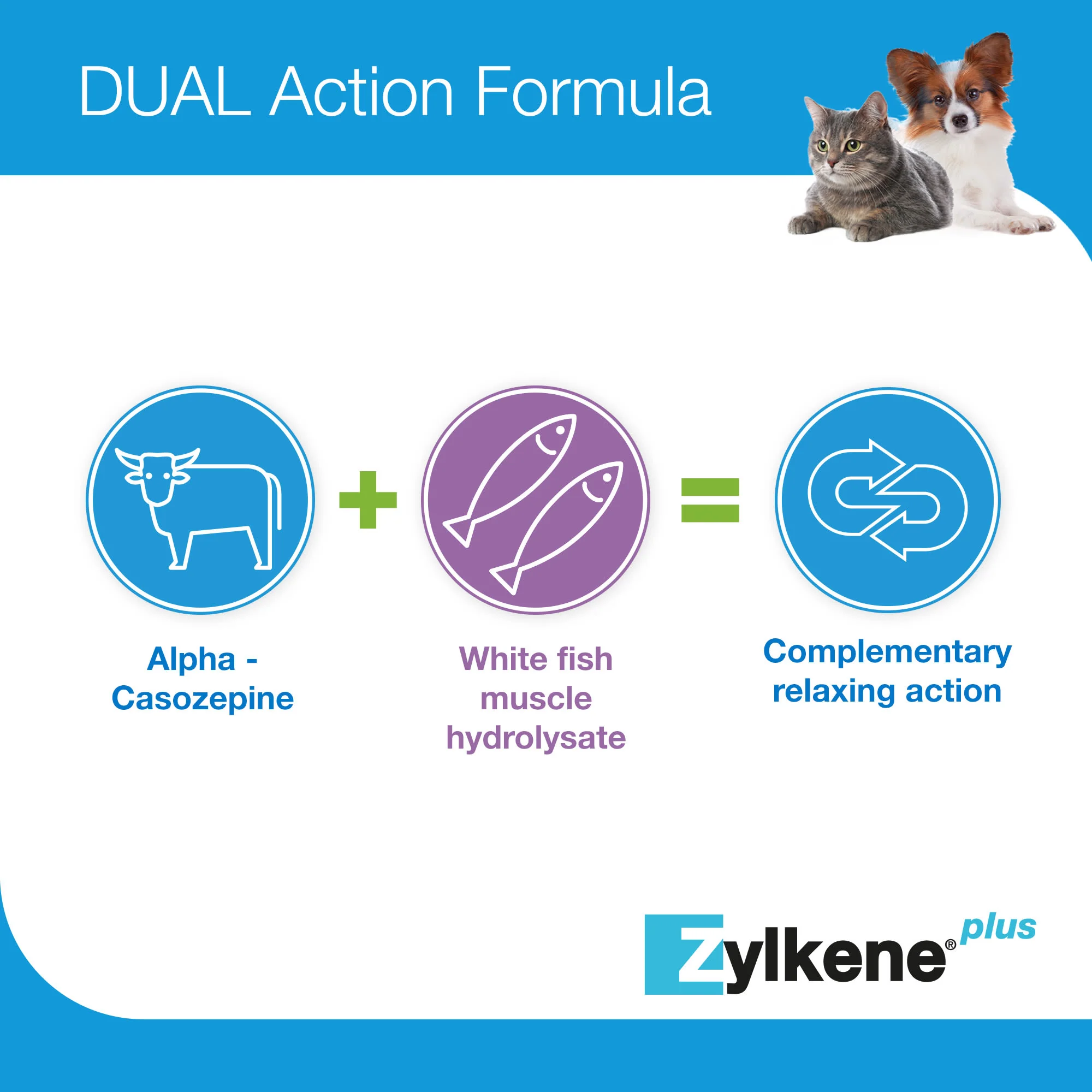 Zylkene Plus Calming Supplement for Cats and Dogs - 30 Pack - Image 15