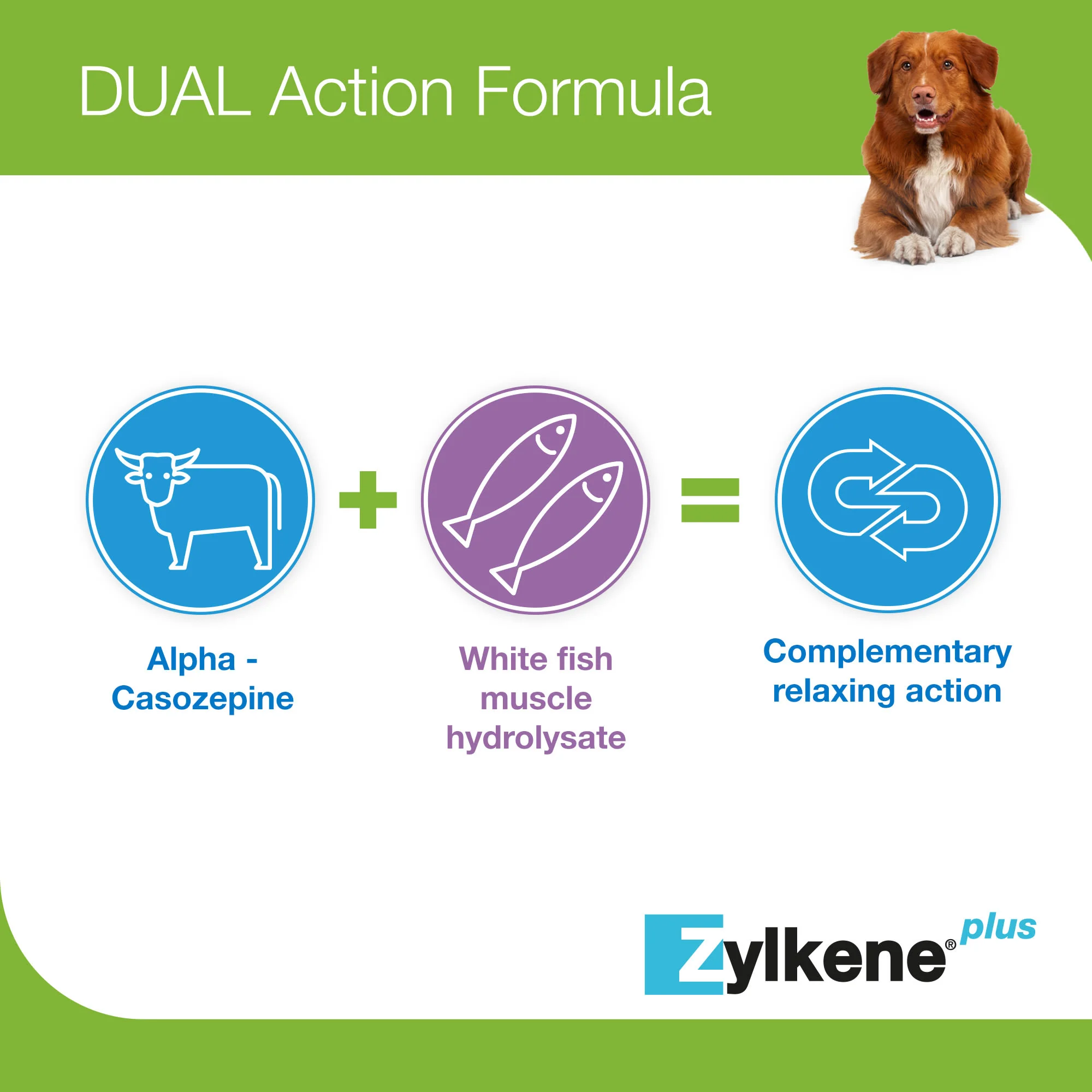 Zylkene Plus Calming Supplement for Cats and Dogs - 30 Pack - Image 16