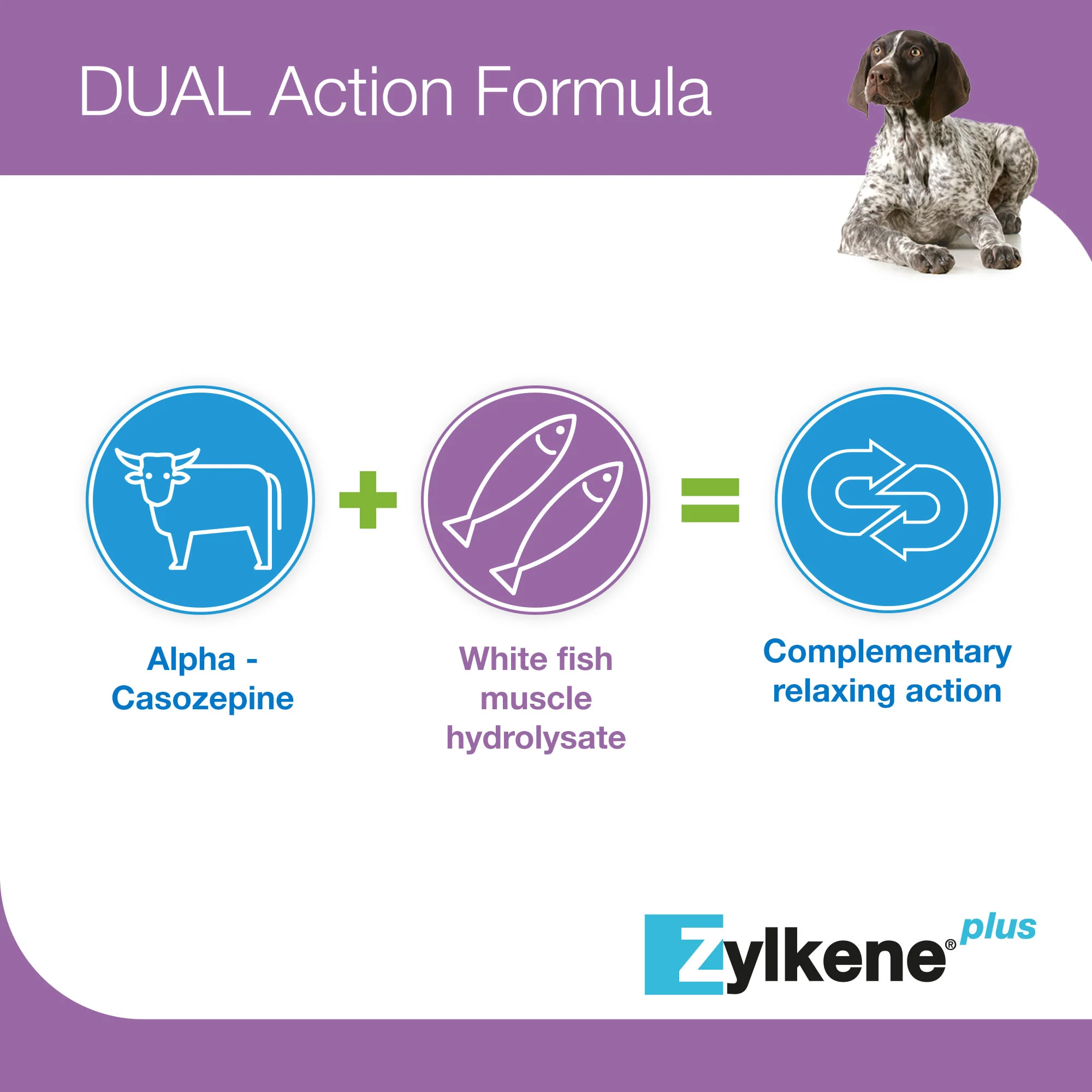 Zylkene Plus Calming Supplement for Cats and Dogs - 30 Pack - Image 17