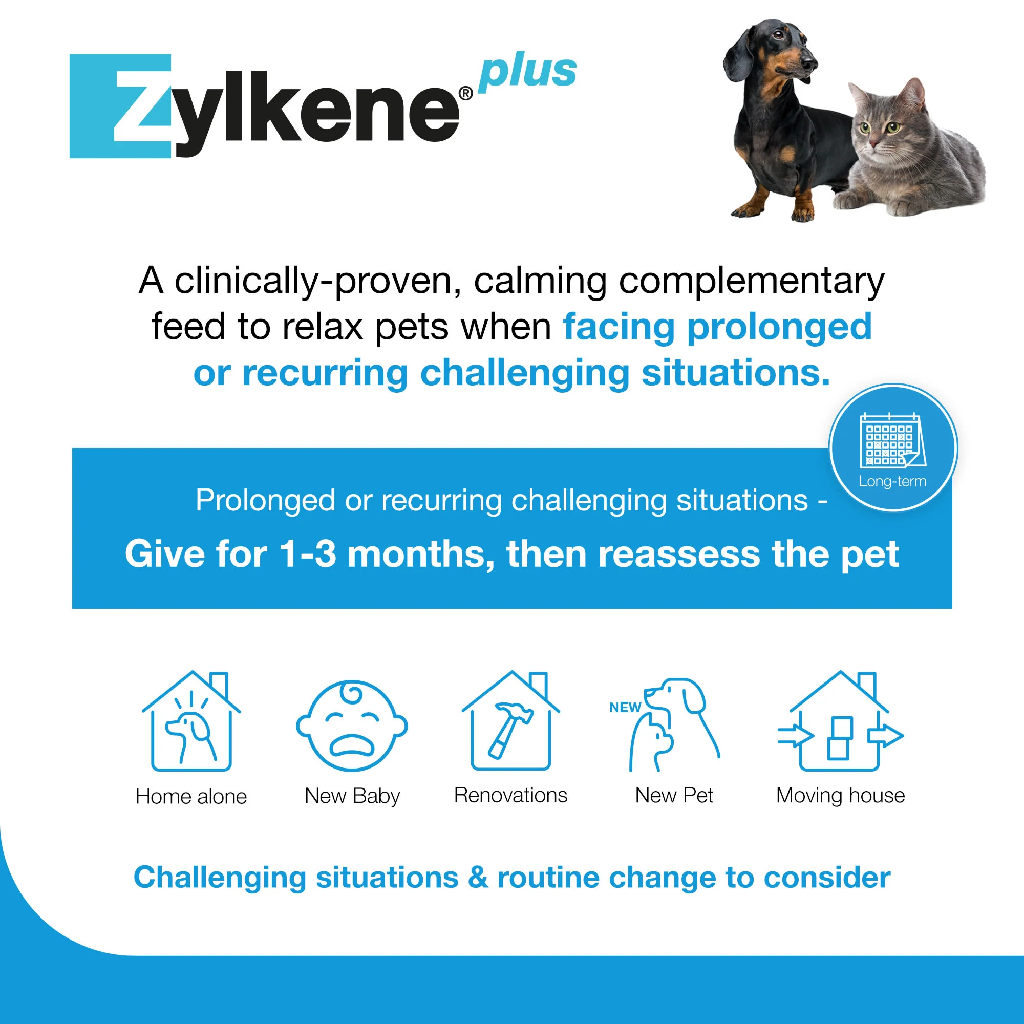 Zylkene Plus Calming Supplement for Cats and Dogs - 30 Pack - Image 18