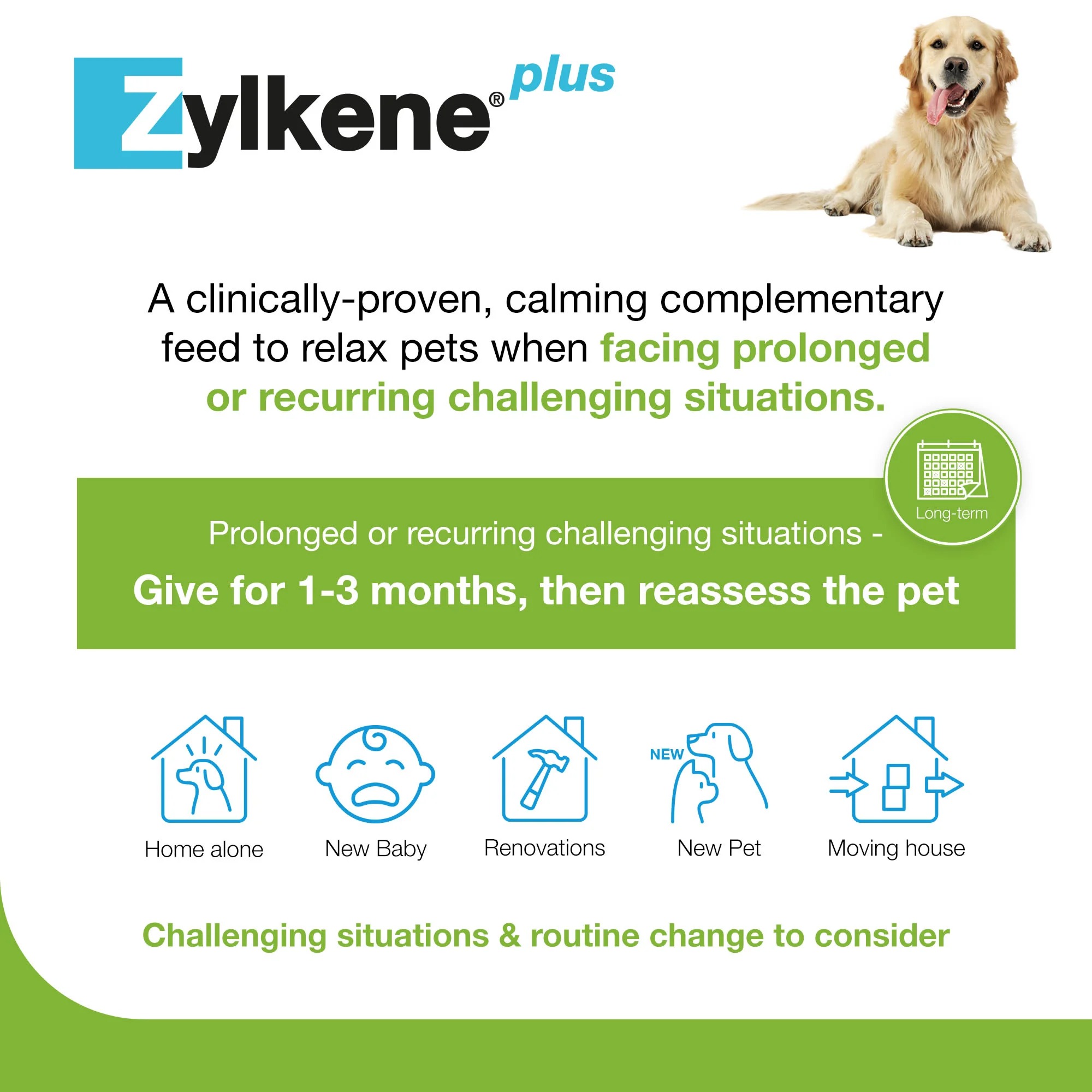 Zylkene Plus Calming Supplement for Cats and Dogs - 30 Pack - Image 19