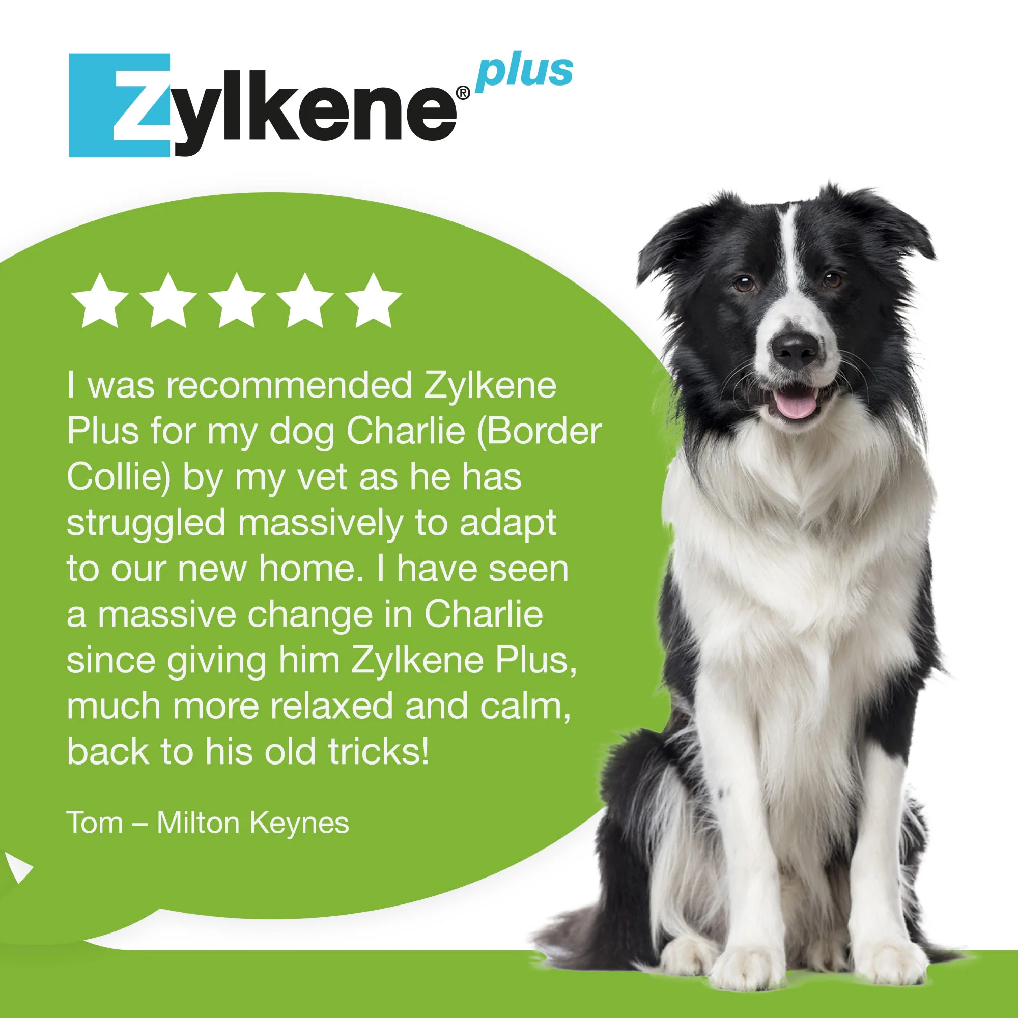 Zylkene Plus Calming Supplement for Cats and Dogs - 30 Pack - Image 22