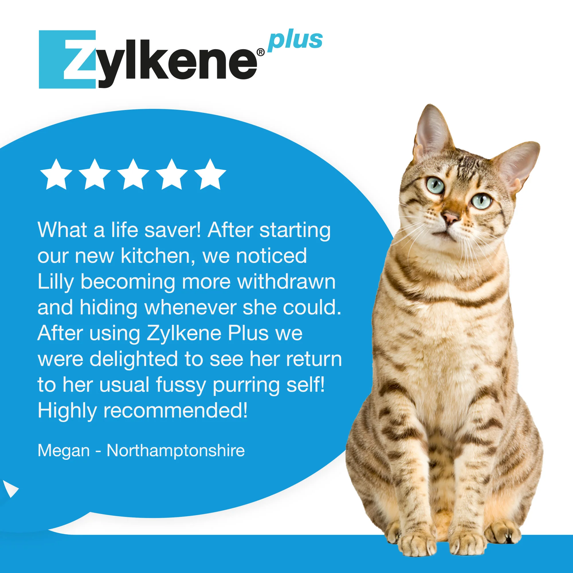 Zylkene Plus Calming Supplement for Cats and Dogs - 30 Pack - Image 24