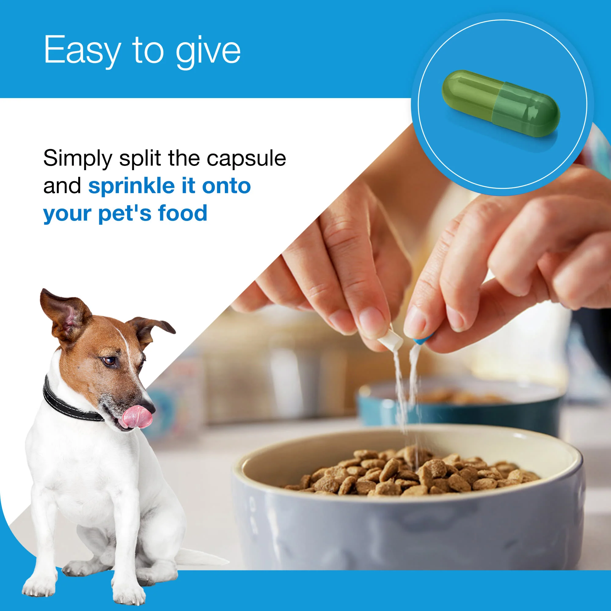 Zylkene Plus Calming Supplement for Cats and Dogs - 30 Pack - Image 4