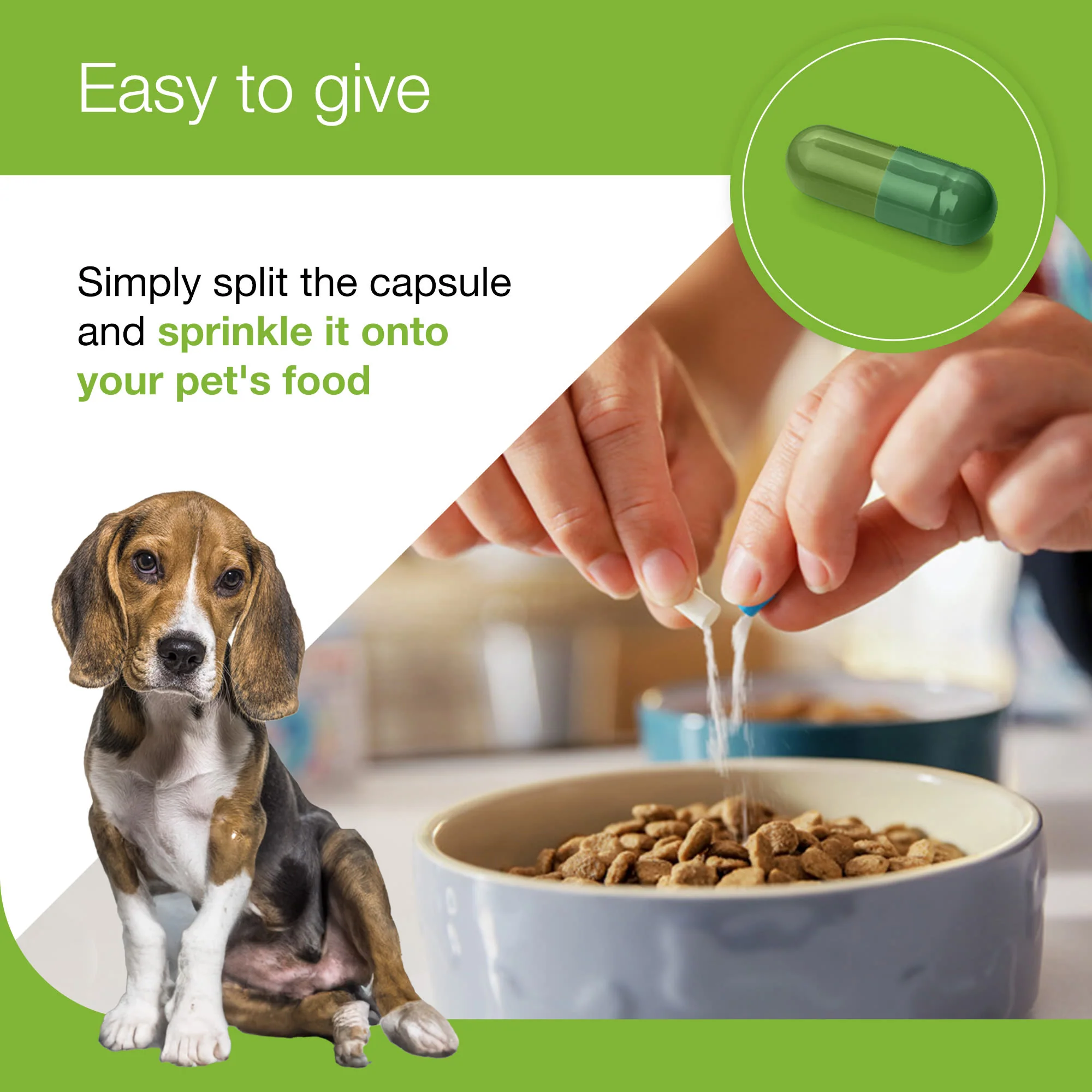 Zylkene Plus Calming Supplement for Cats and Dogs - 30 Pack - Image 5
