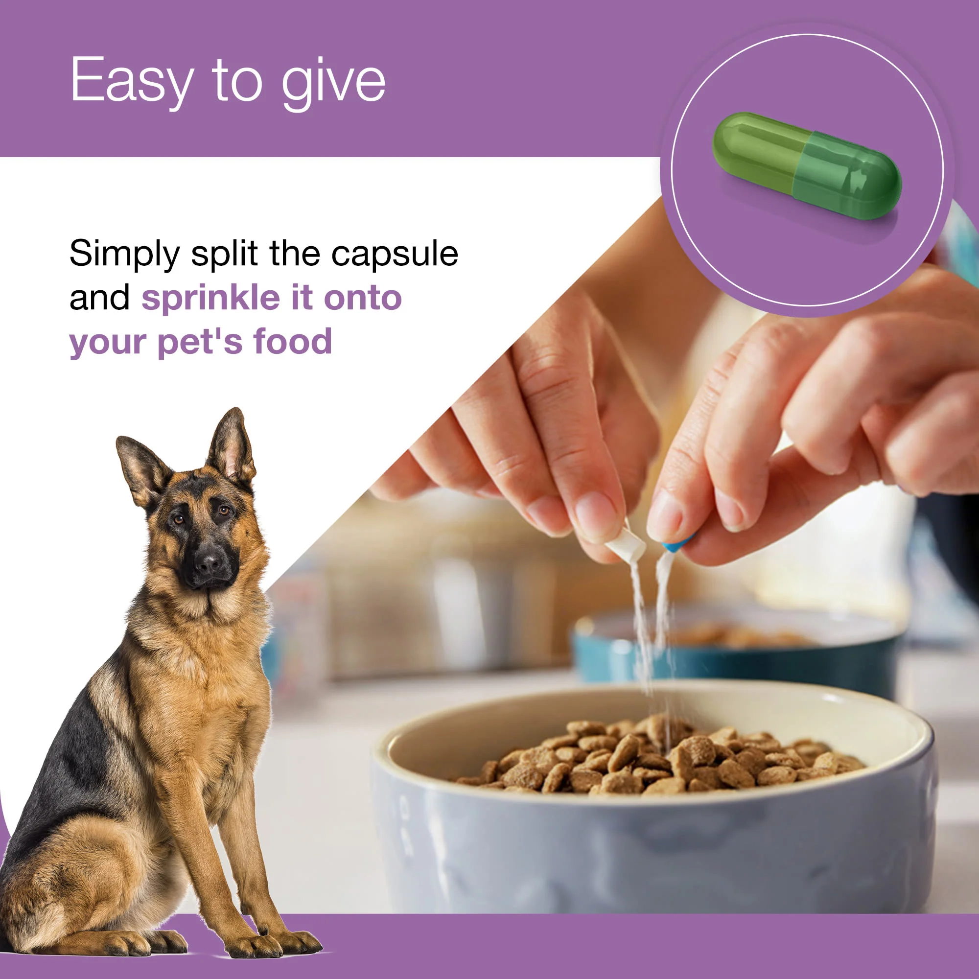 Zylkene Plus Calming Supplement for Cats and Dogs - 30 Pack - Image 6