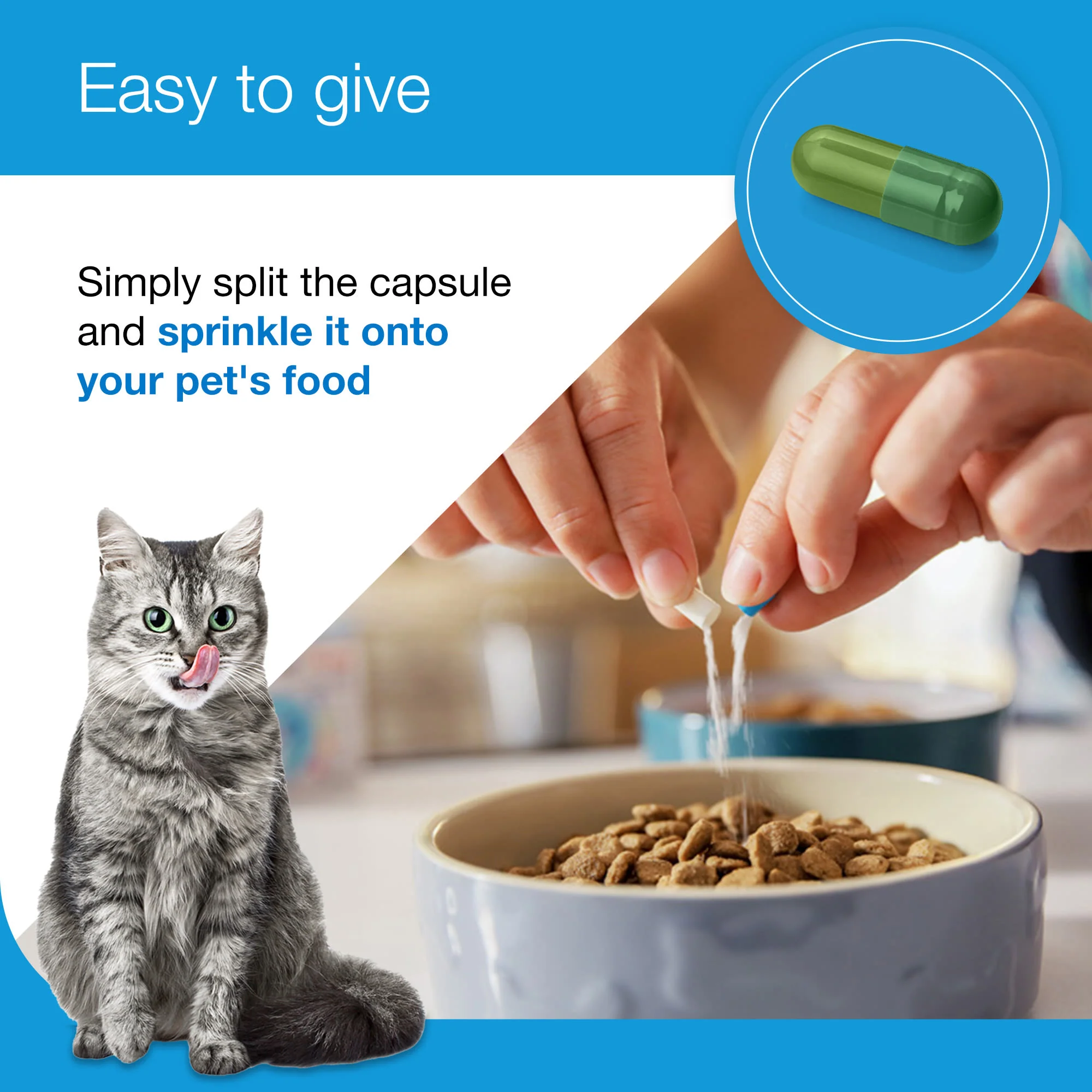 Zylkene Plus Calming Supplement for Cats and Dogs - 30 Pack - Image 7